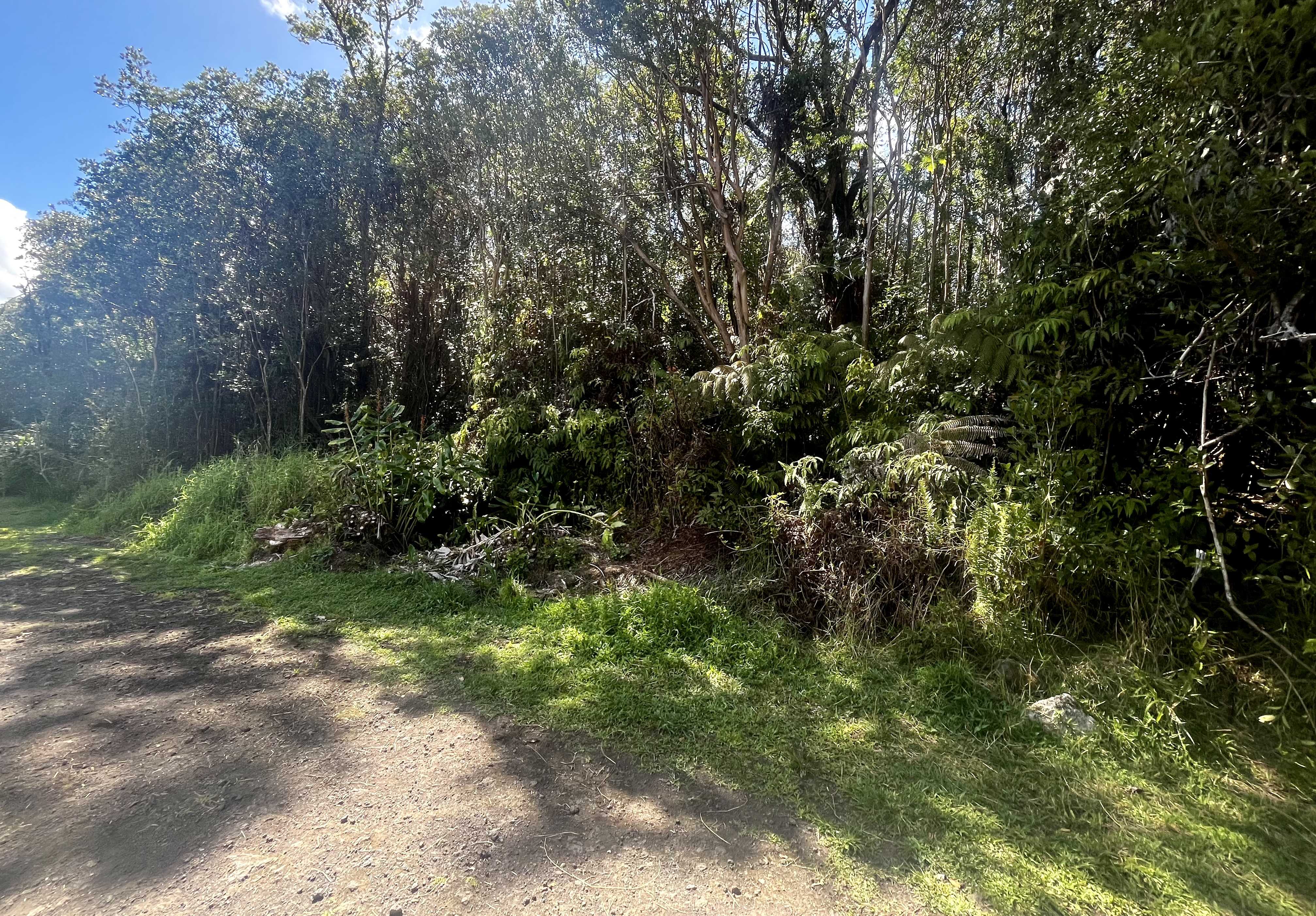 Volcano, HI 96785,ROAD 4