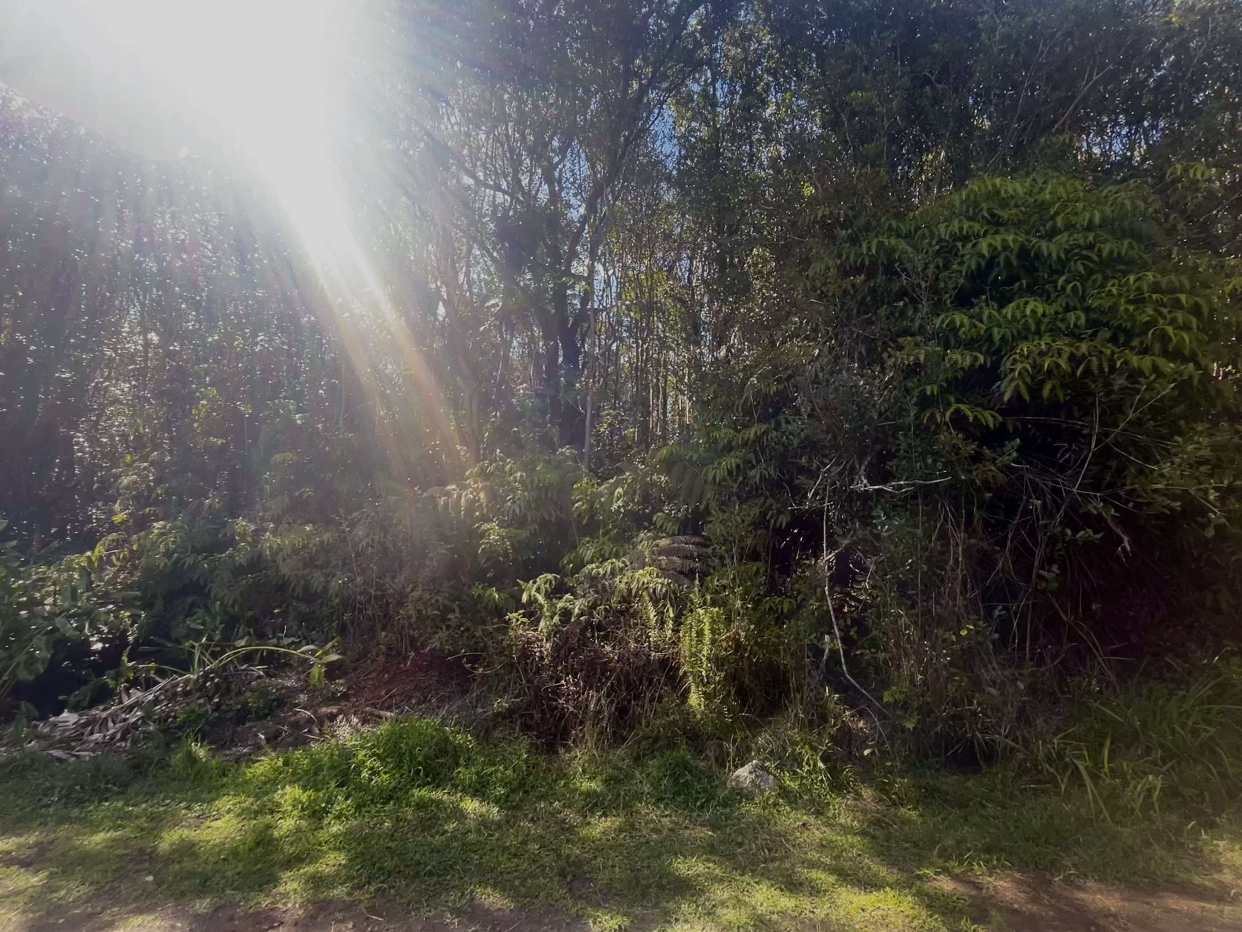 Volcano, HI 96785,ROAD 4