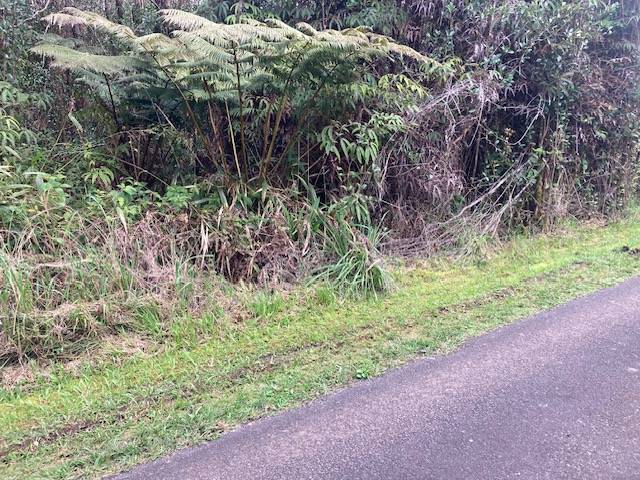 Volcano, HI 96785,ROAD 5