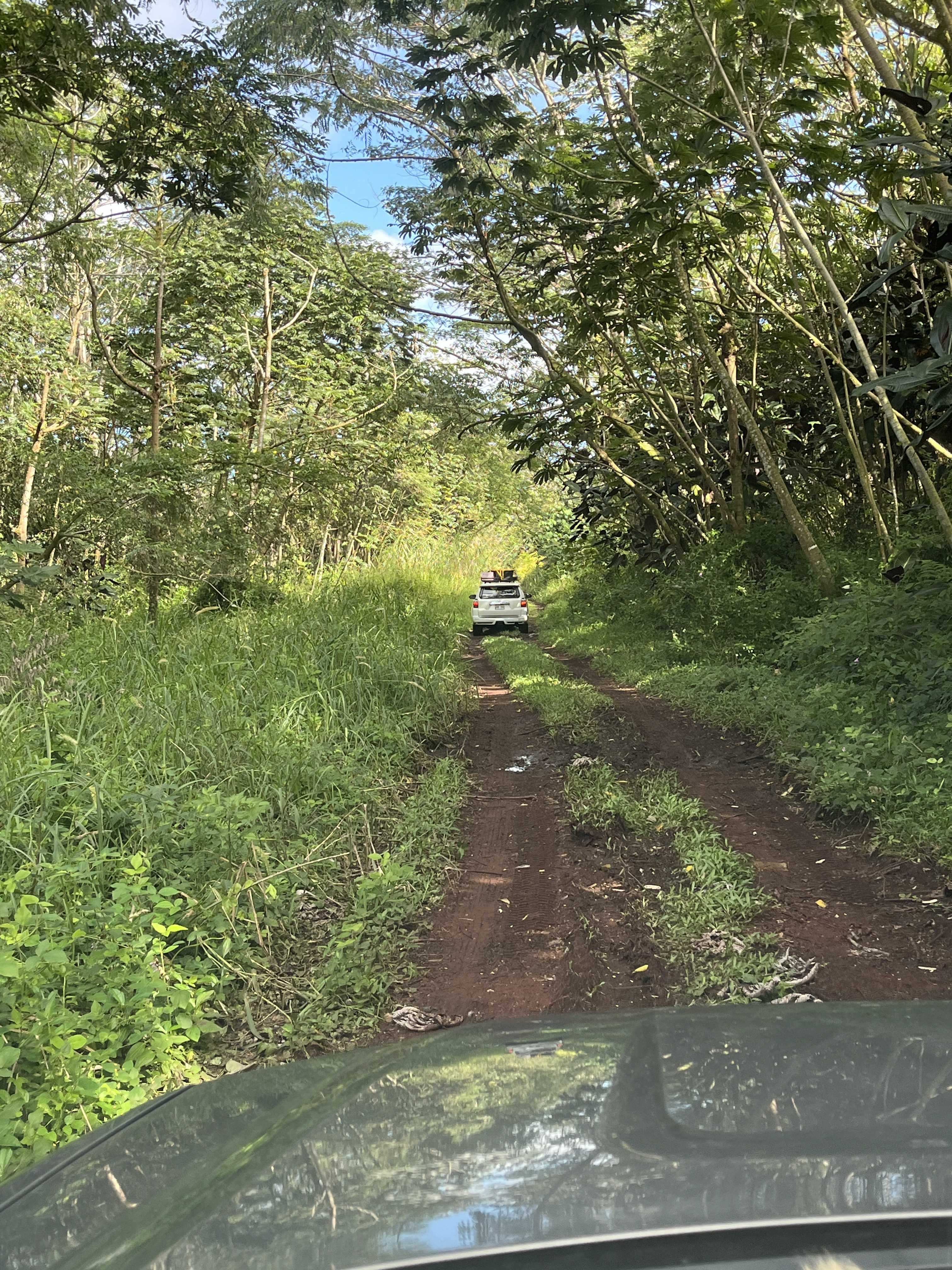 Pahoa, HI 96778,PAHOA KALAPANA RD