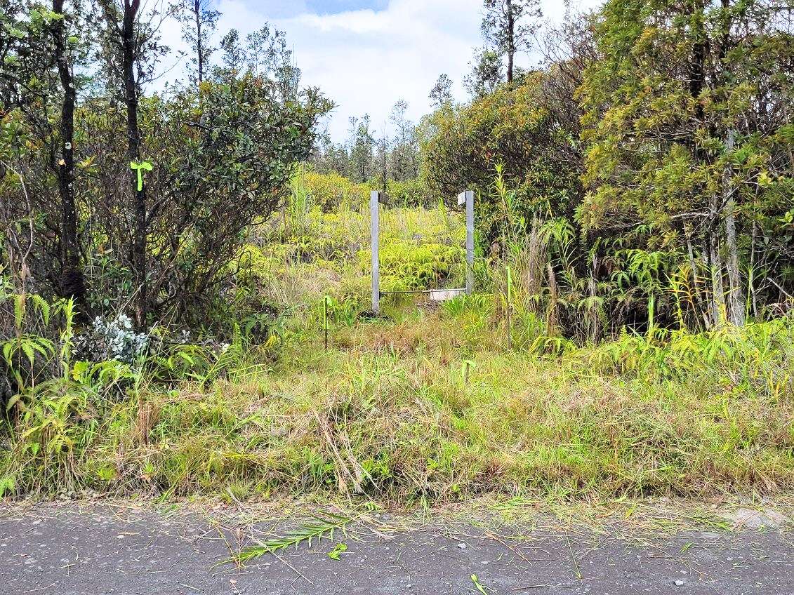 Mountain View, HI 96760,ROAD 1 (UHINI ANA)