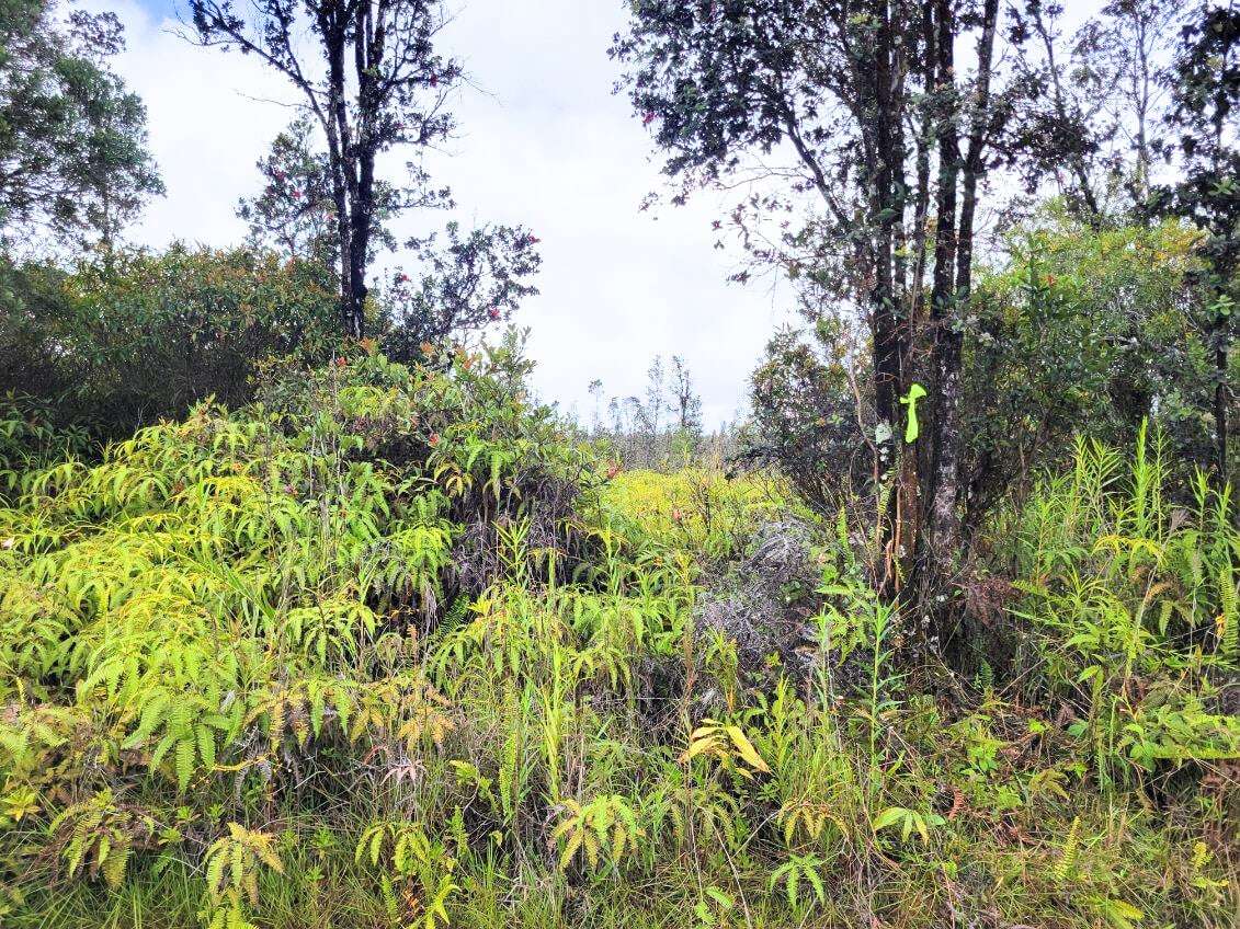 Mountain View, HI 96760,ROAD 1 (UHINI ANA)