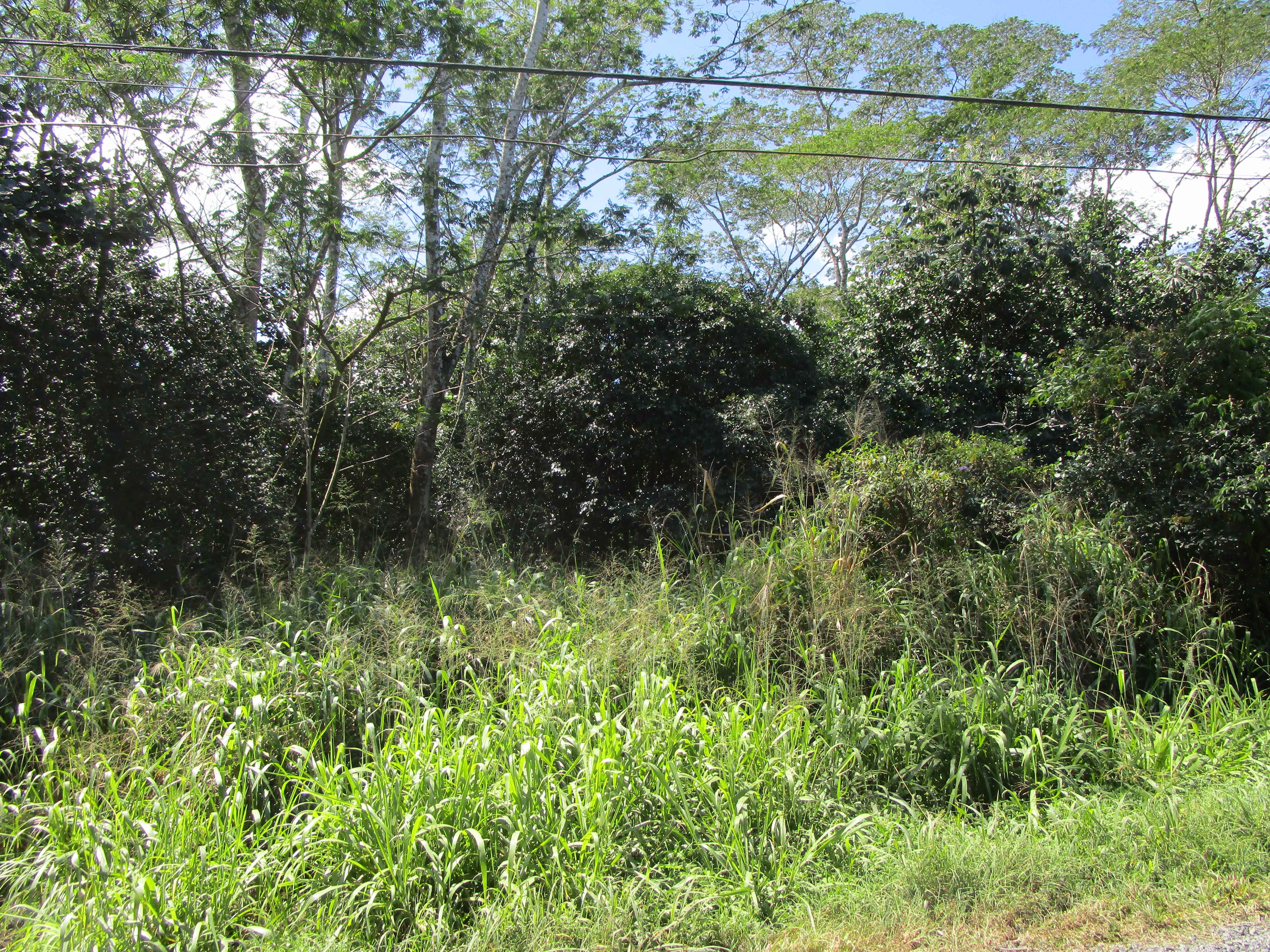 Keaau, HI 96749,9TH AVE (KALAUNU)