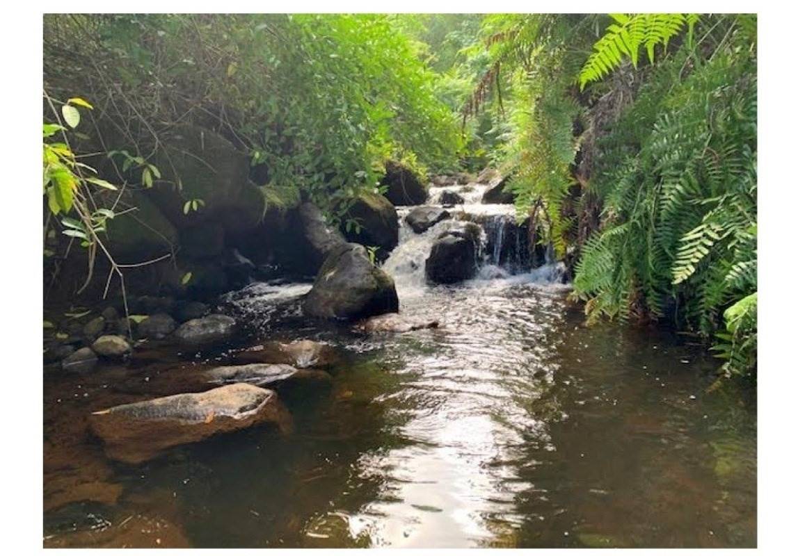 Pepeekeo, HI 96783,28-2981 KUMULA ST