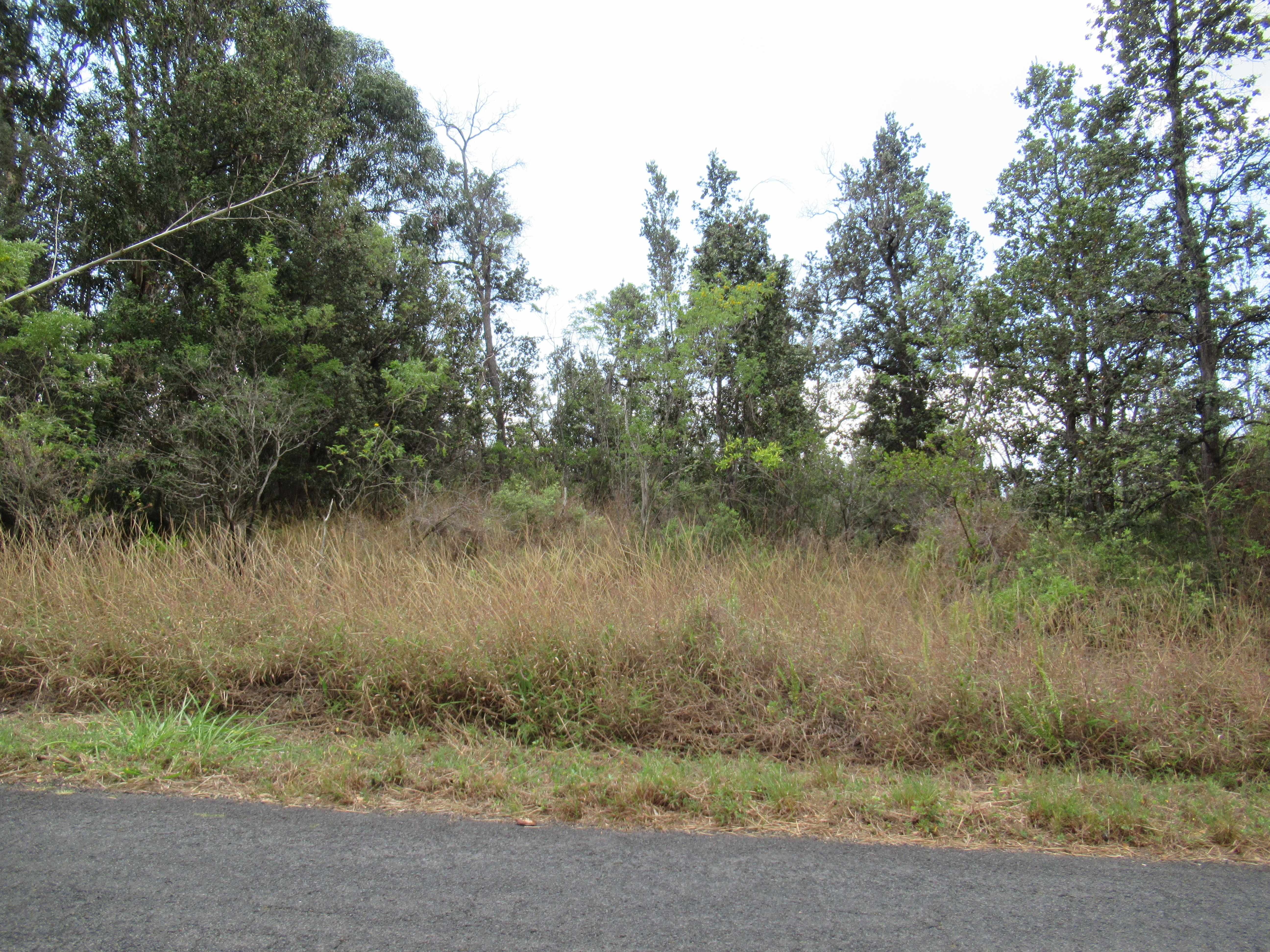 Ocean View, HI 96737,KONA DR