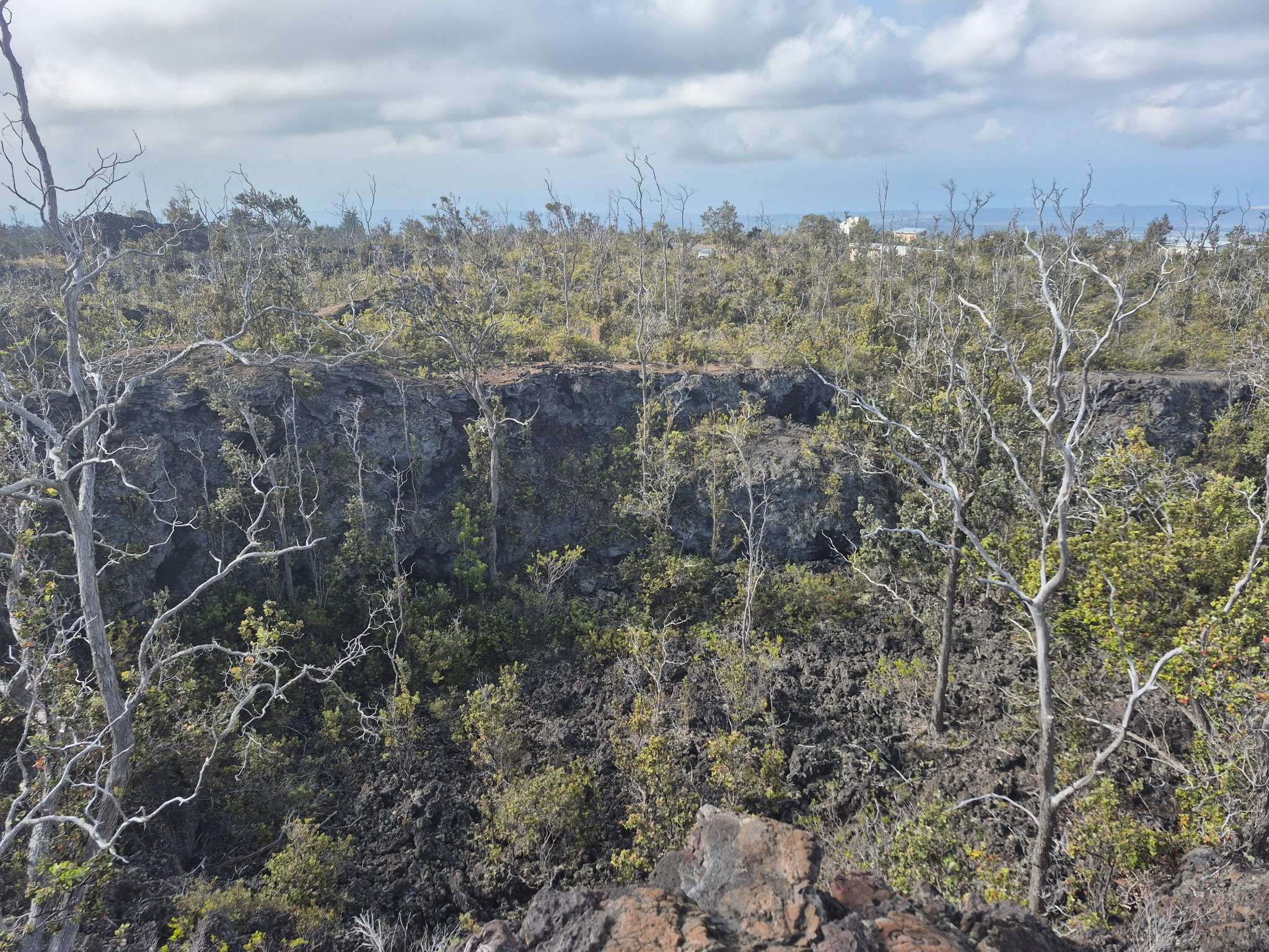 Ocean View, HI 96737,92-9118 BAMBOO LN