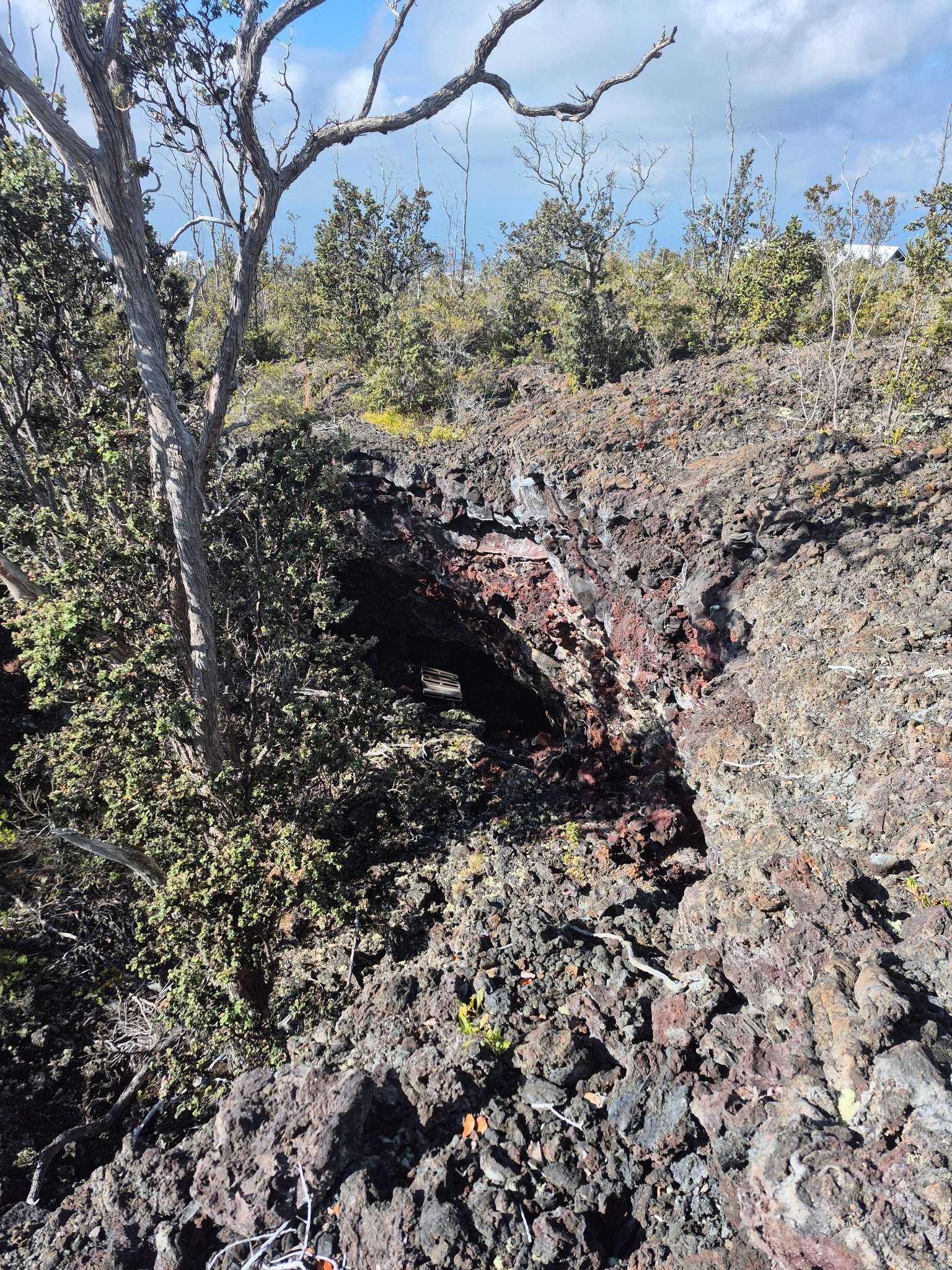 Ocean View, HI 96737,92-9118 BAMBOO LN