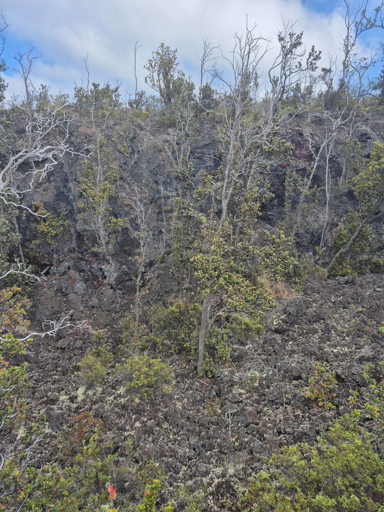 Ocean View, HI 96737,92-9118 BAMBOO LN