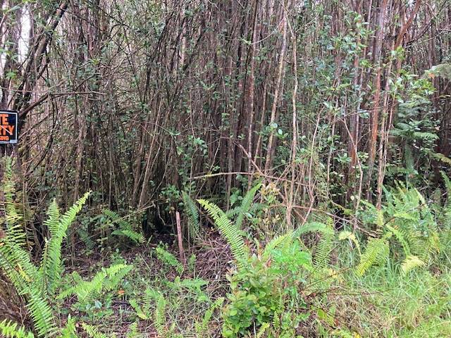 Volcano, HI 96785,ROAD 5