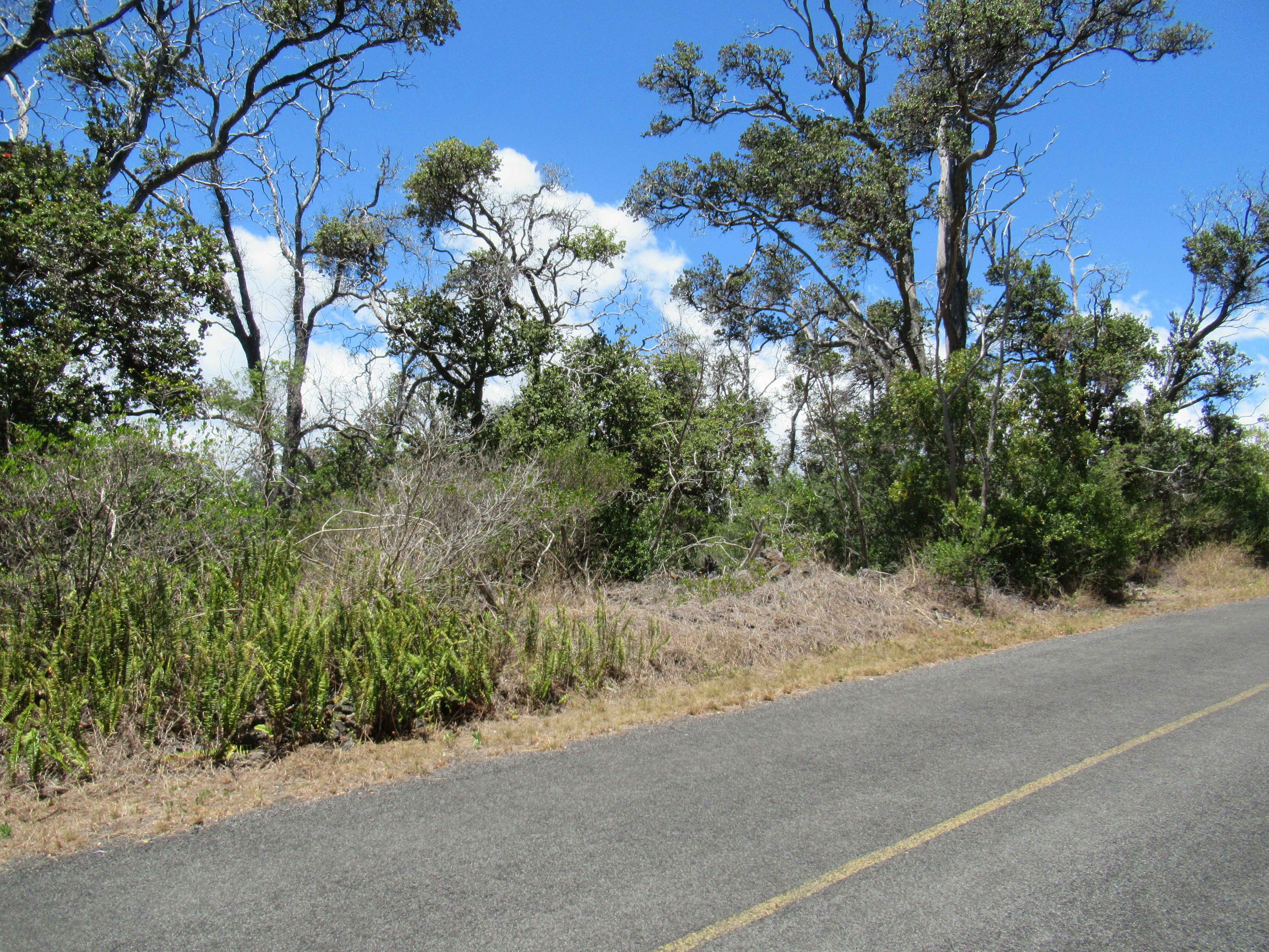 Ocean View, HI 96737,BAMBOO LANE