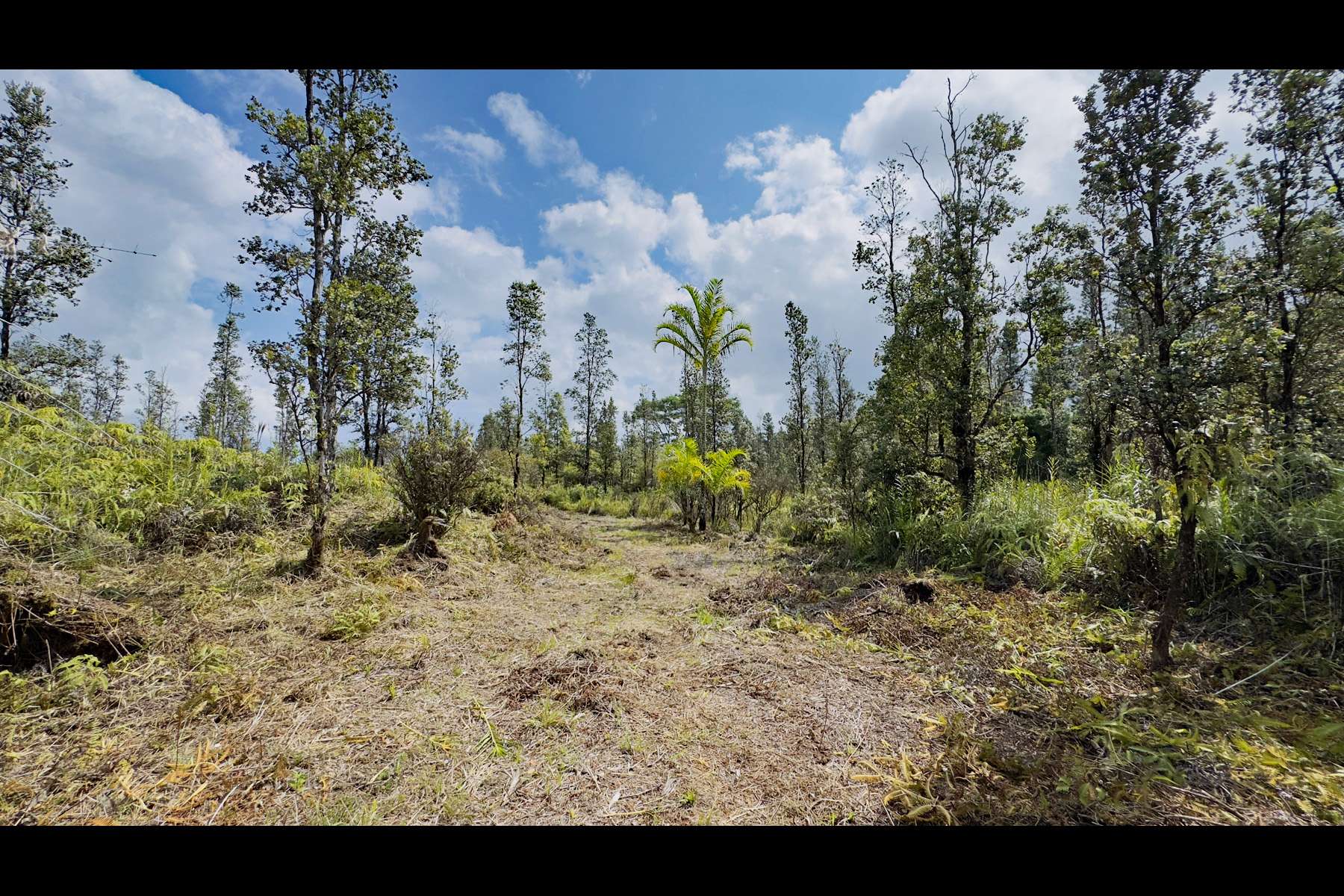 Mountain View, HI 96760,UHINI ANA RD