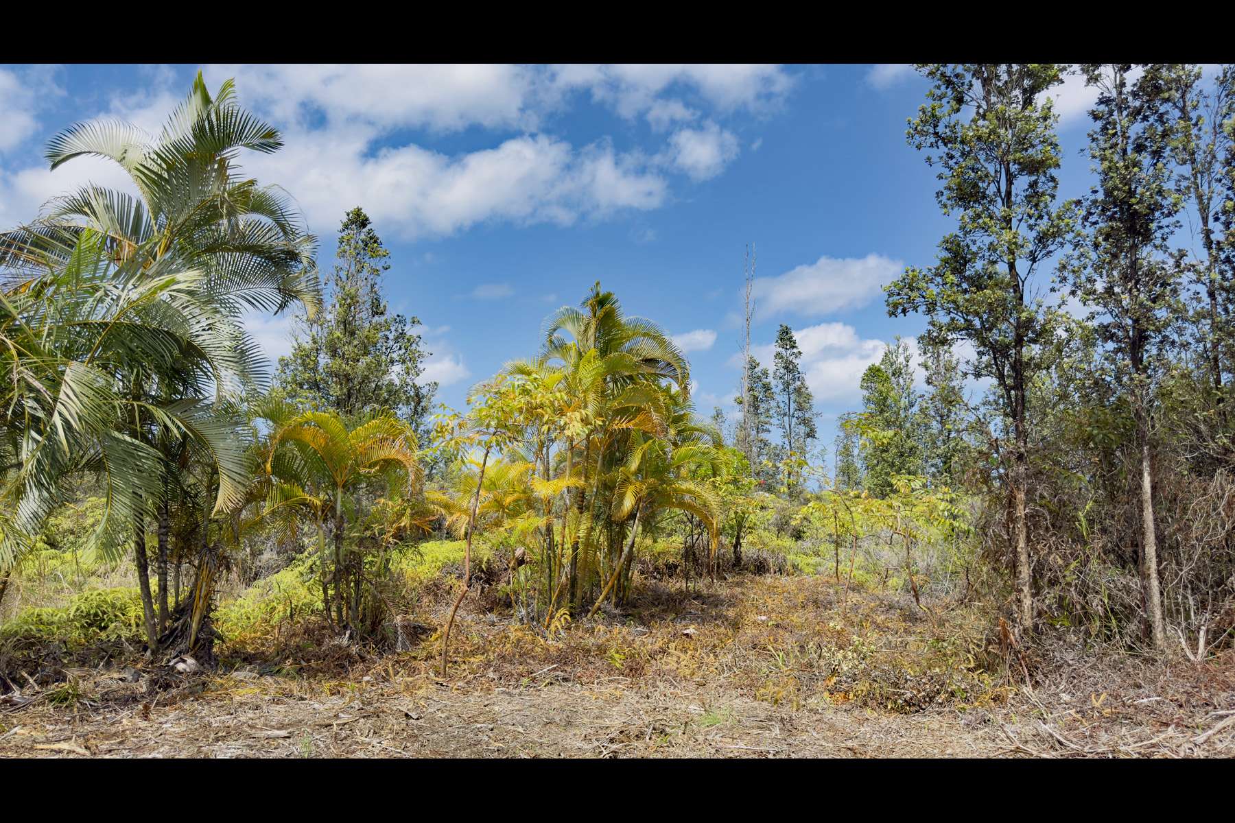 Mountain View, HI 96760,UHINI ANA RD