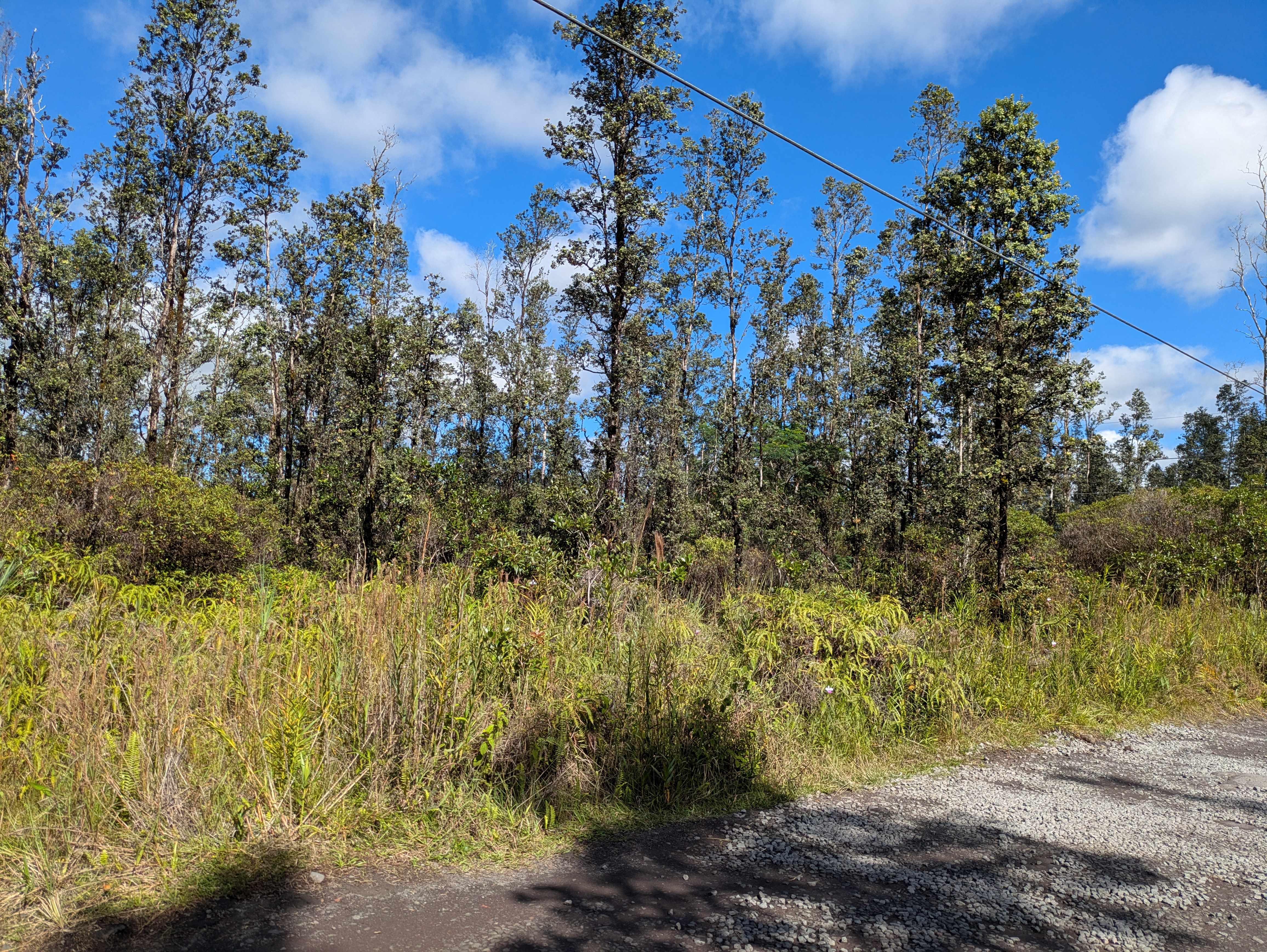 Mountain View, HI 96760,3954 ROAD 5 (UAU)