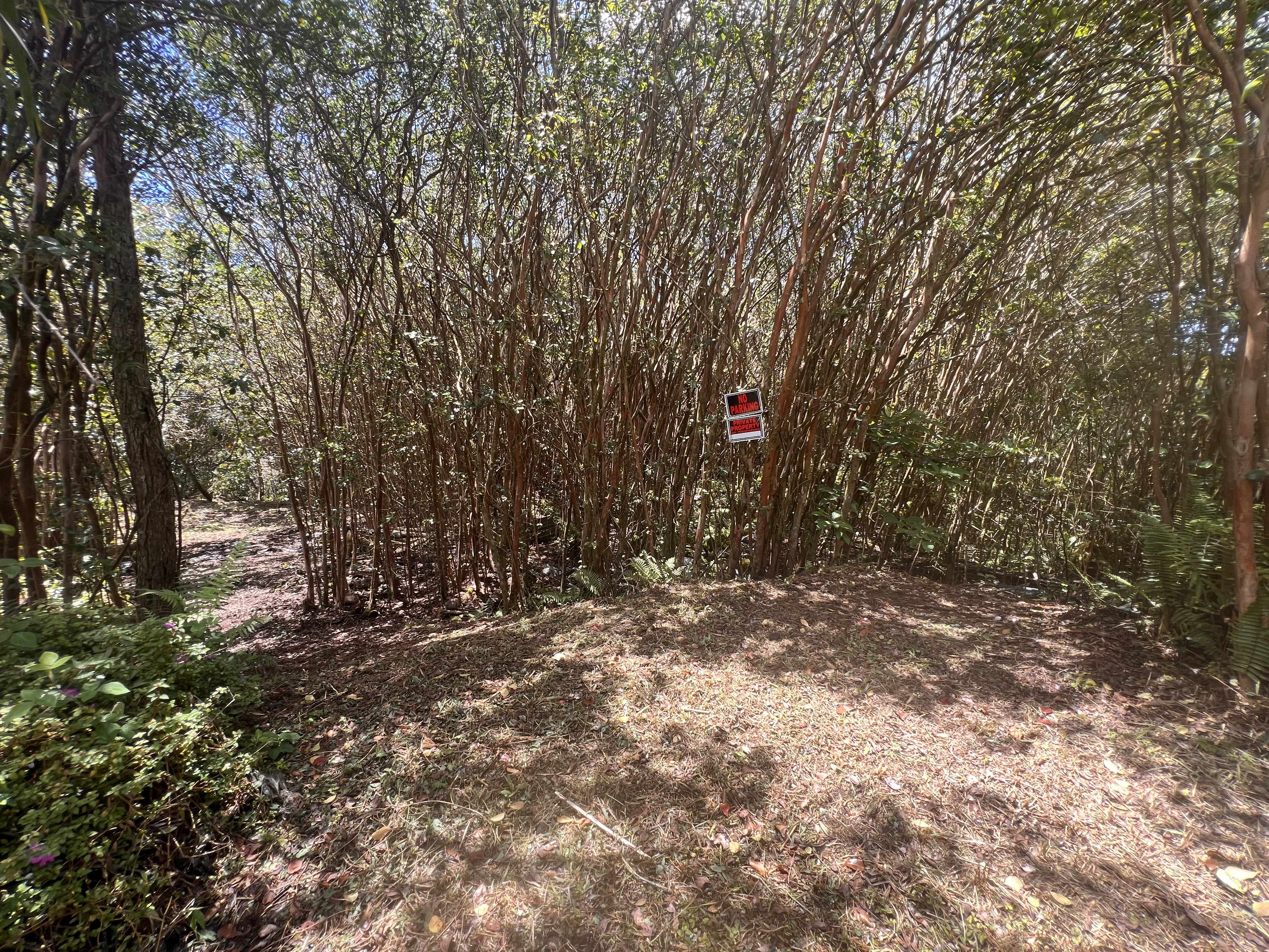 Pahoa, HI 96778,OCEAN VIEW PKWY