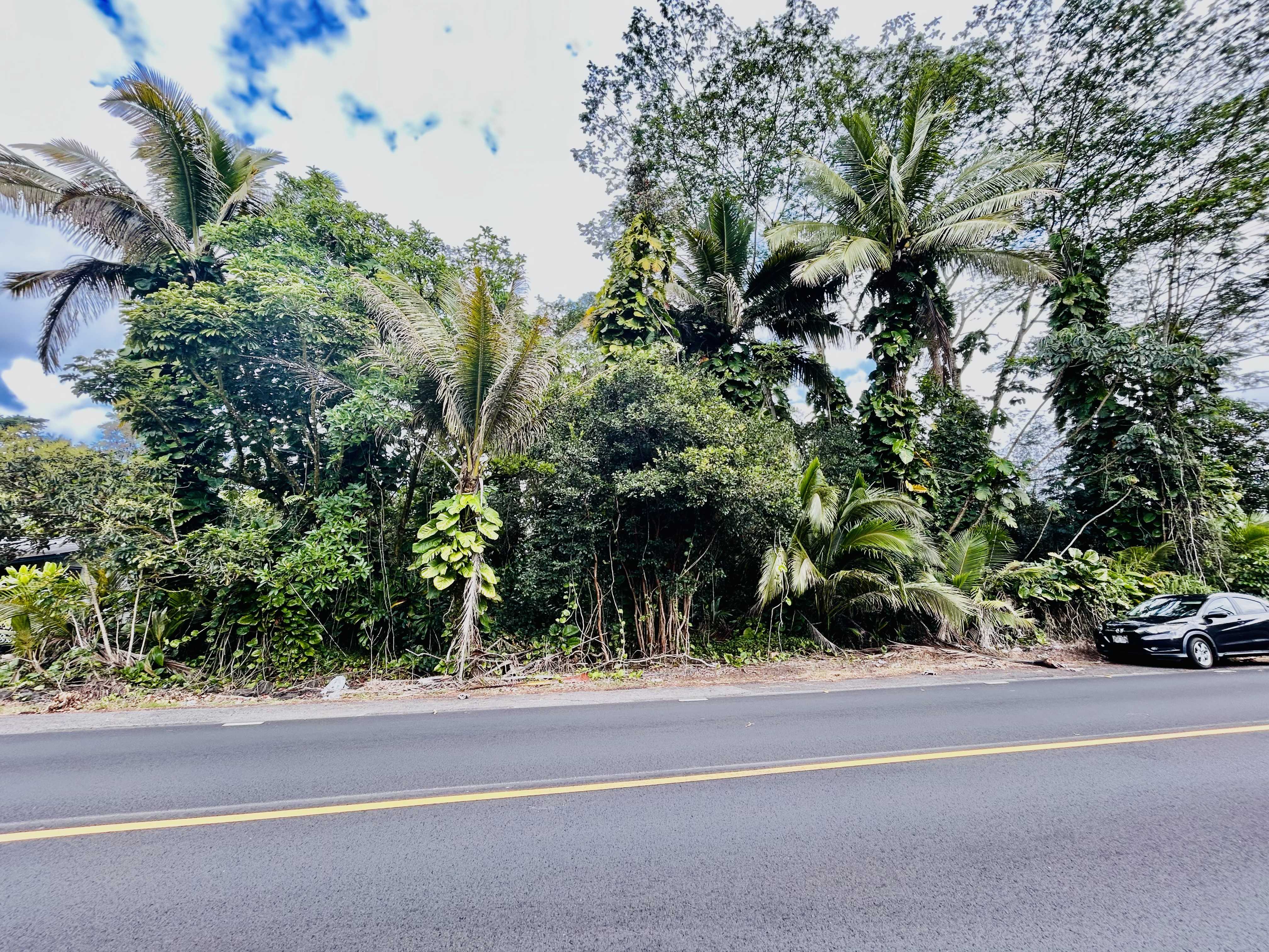 Pahoa, HI 96778,15-740 KAHAKAI BLVD