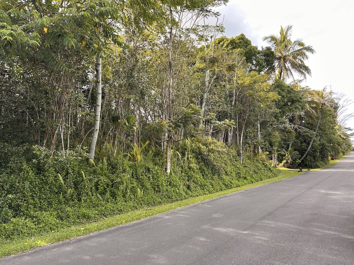Pahoa, HI 96778,KUPONO ST
