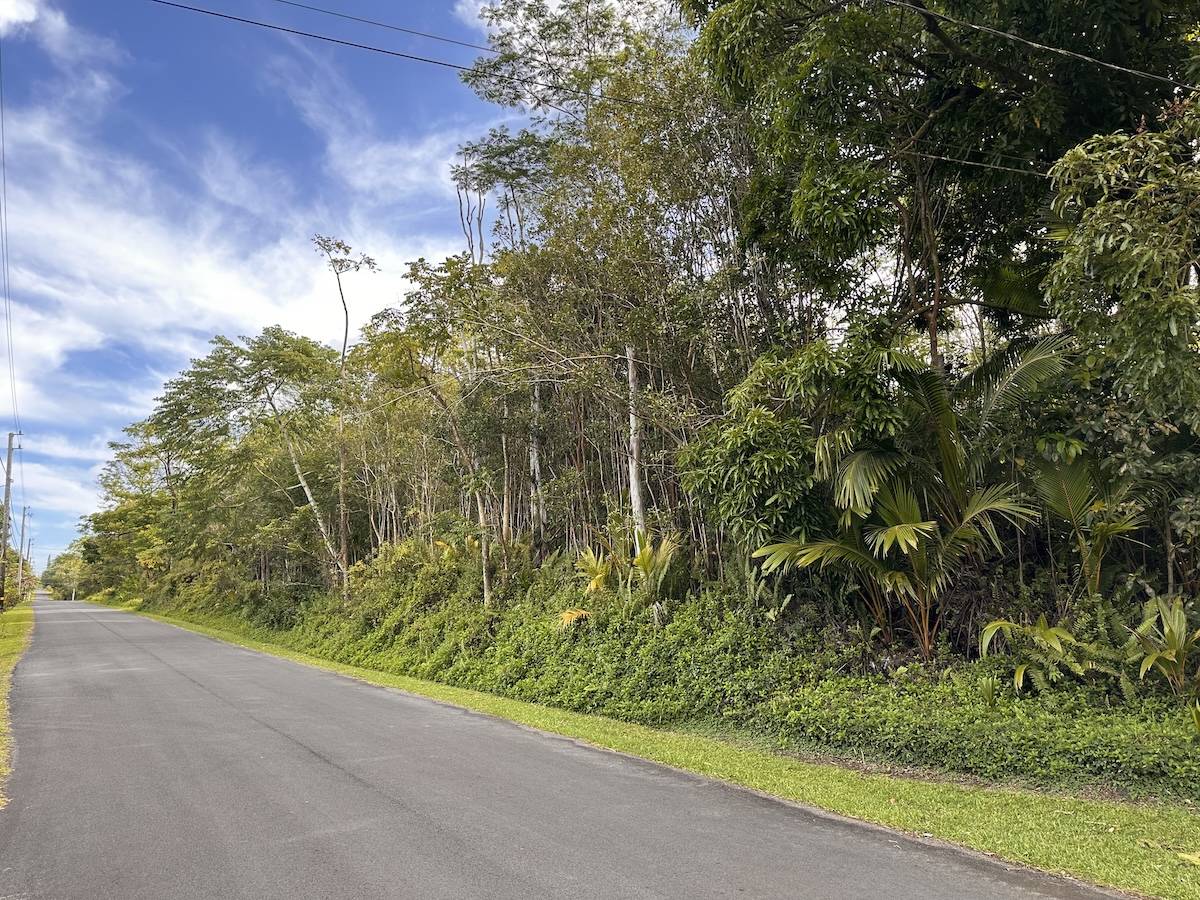 Pahoa, HI 96778,KUPONO ST