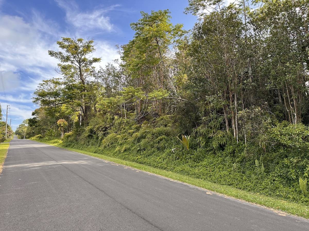 Pahoa, HI 96778,KUPONO ST