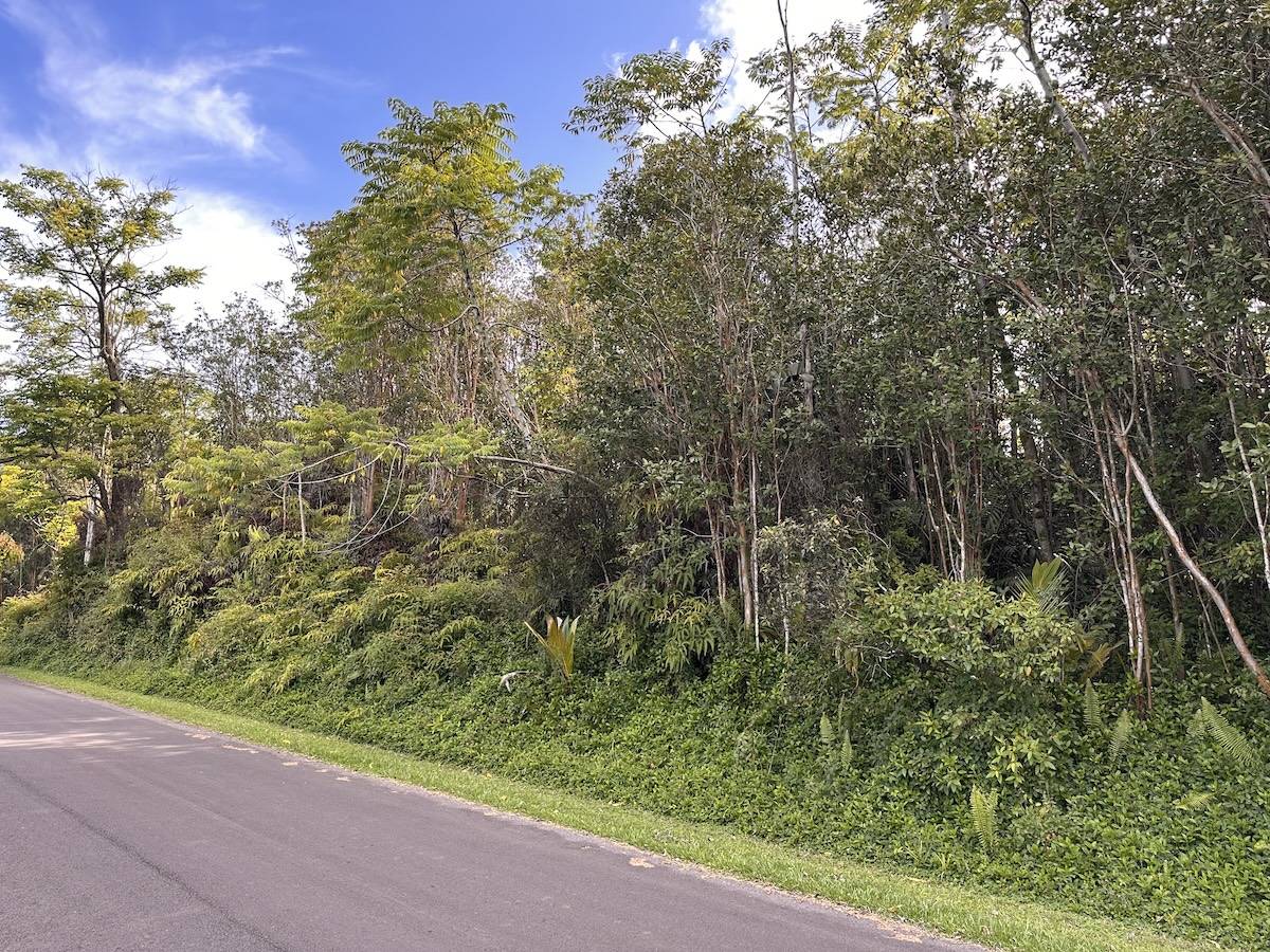 Pahoa, HI 96778,KUPONO ST