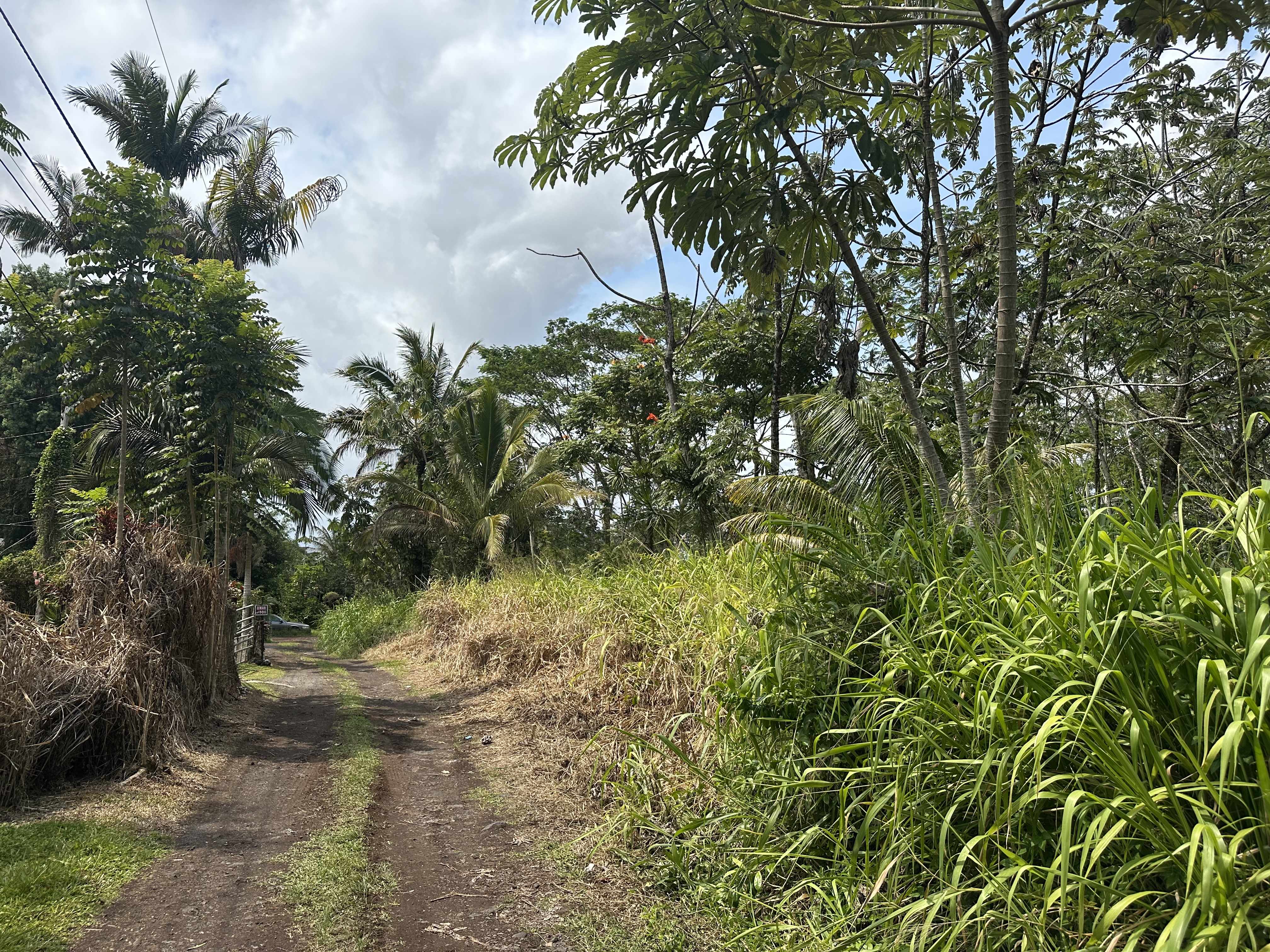 Keaau, HI 96749,TIKI RD