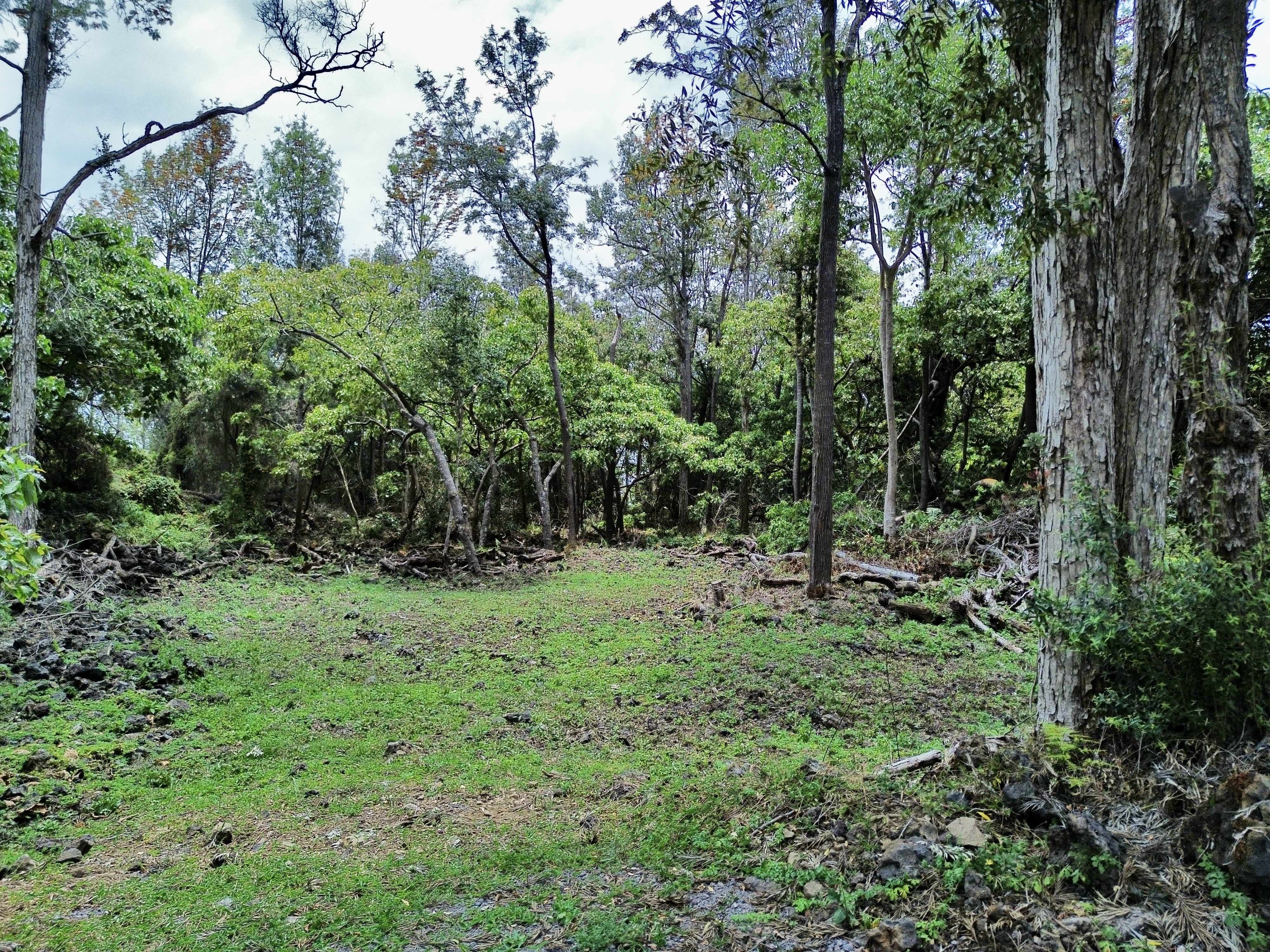 Captain Cook, HI 96704,89-768 LANI KONA RD