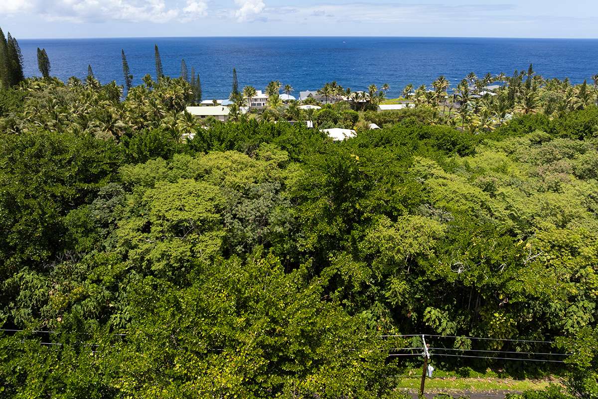 Pahoa, HI 96778,PAPAI ST