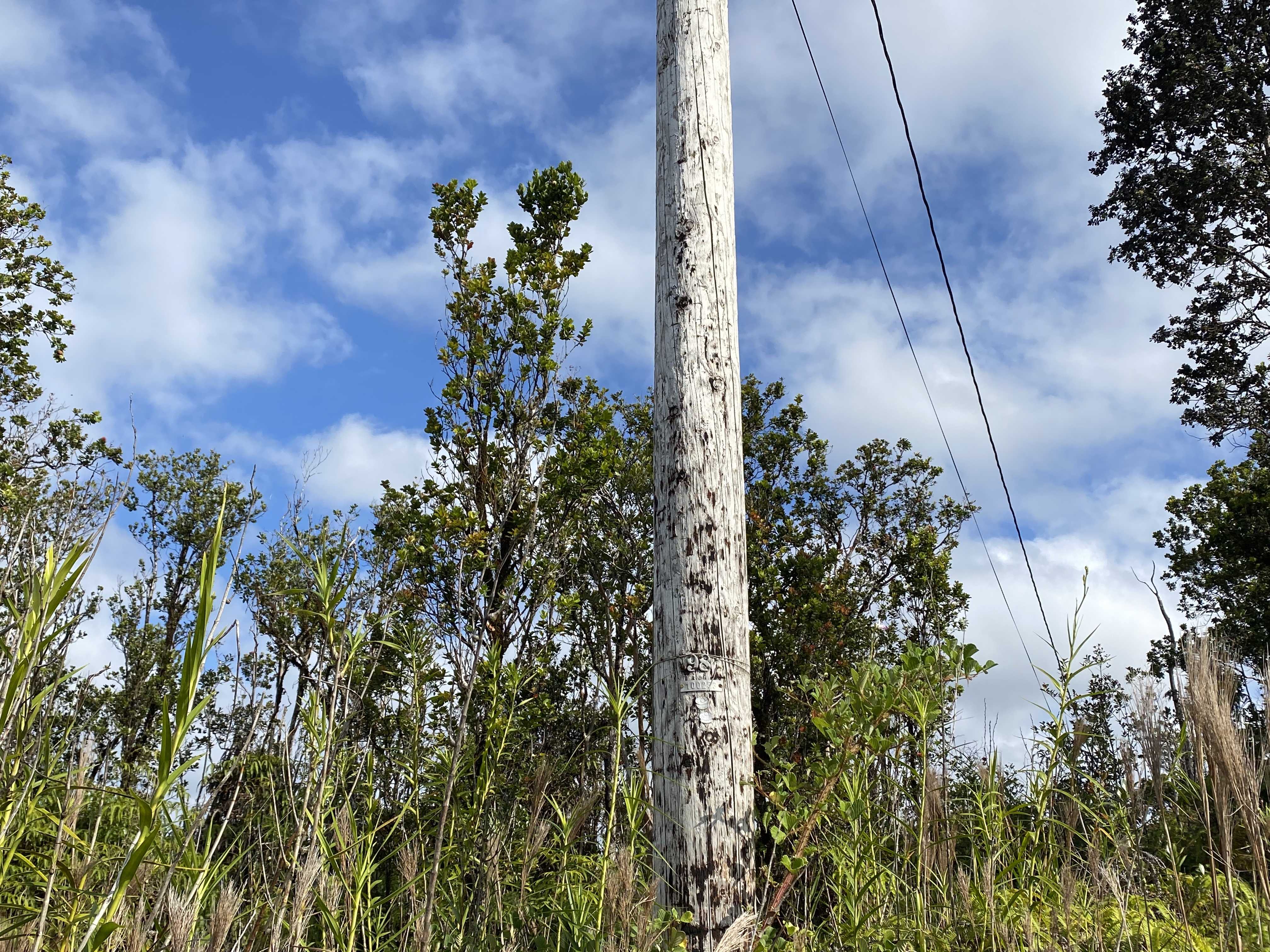 Volcano, HI 96785,KALEPONI DR