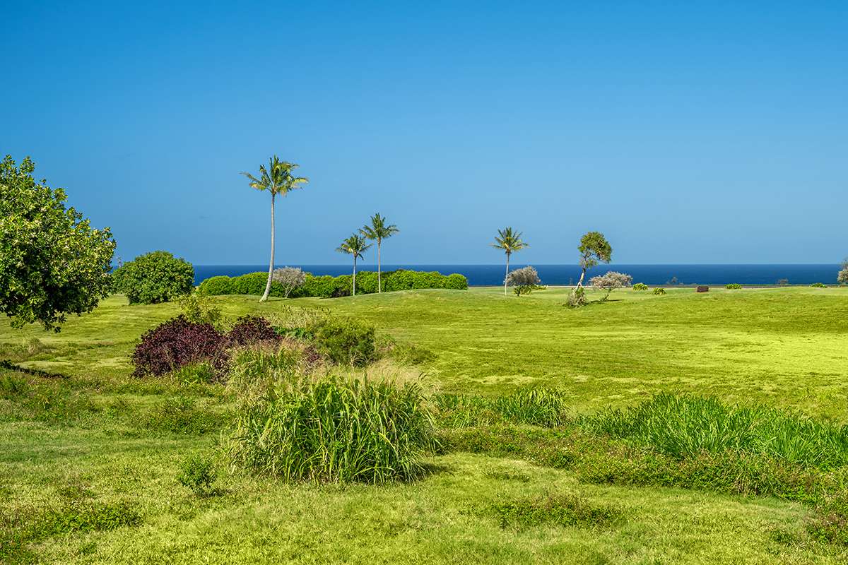 Lihue, HI 96766,POHAIULA PL