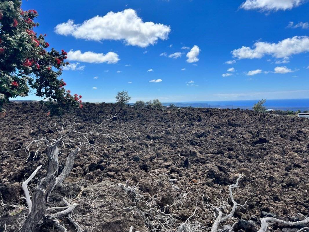 Ocean View, HI 96737,HOKULANI BLVD