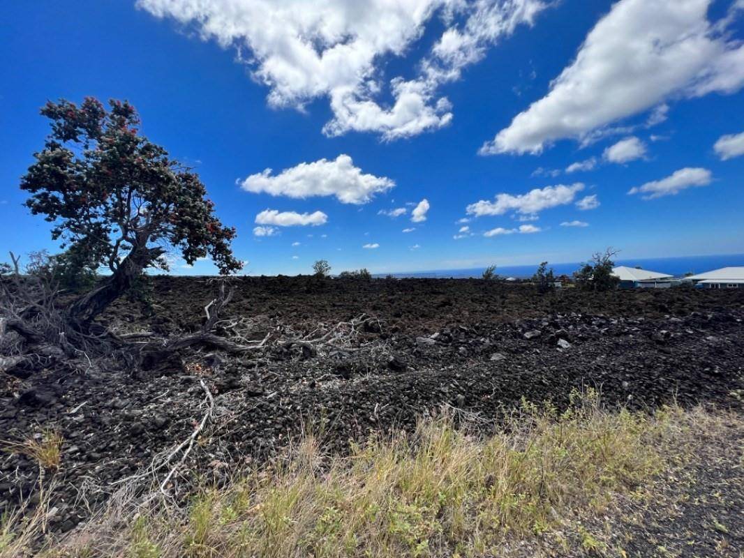 Ocean View, HI 96737,HOKULANI BLVD