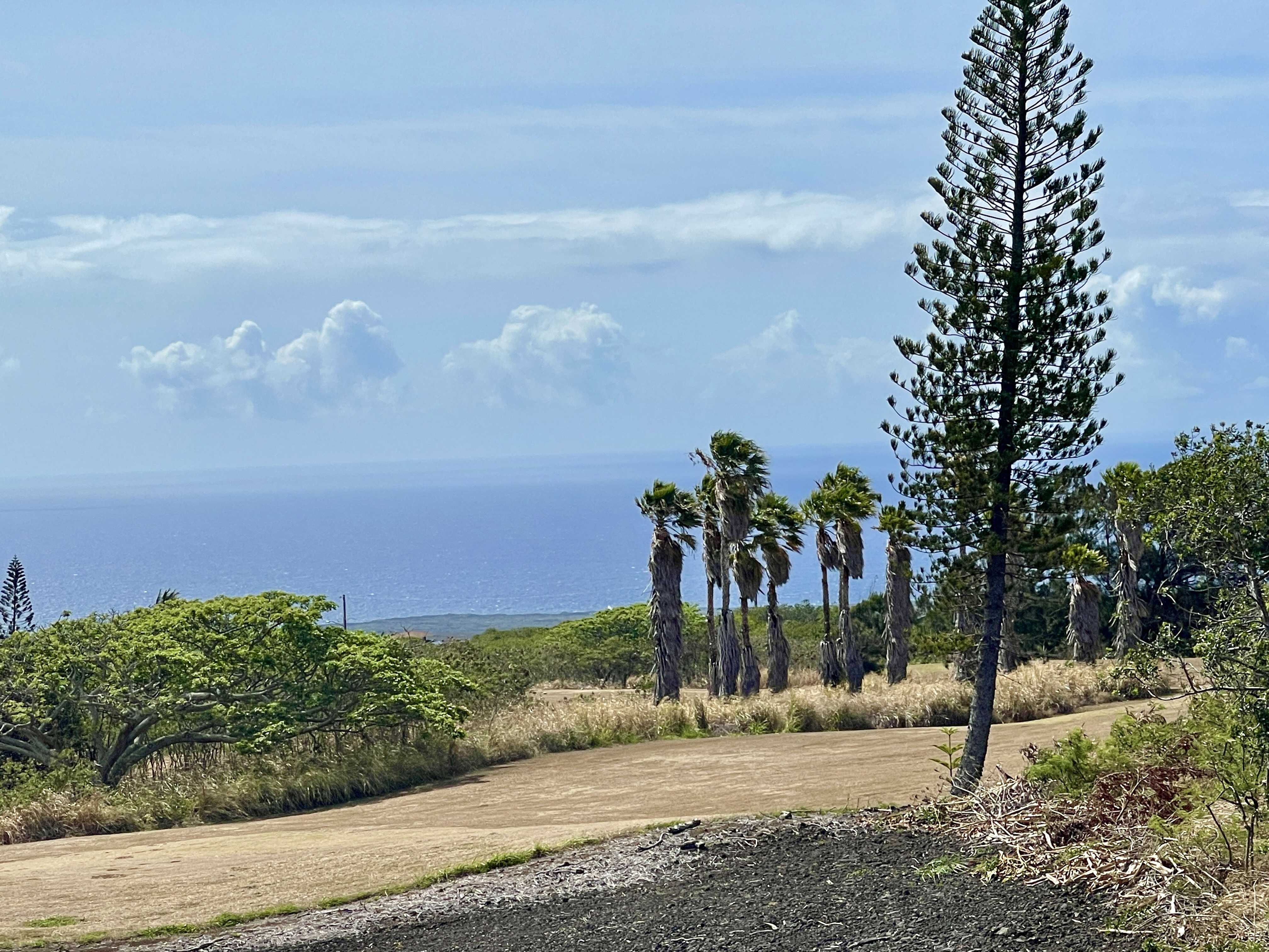Naalehu, HI 96772,HEKAU ST