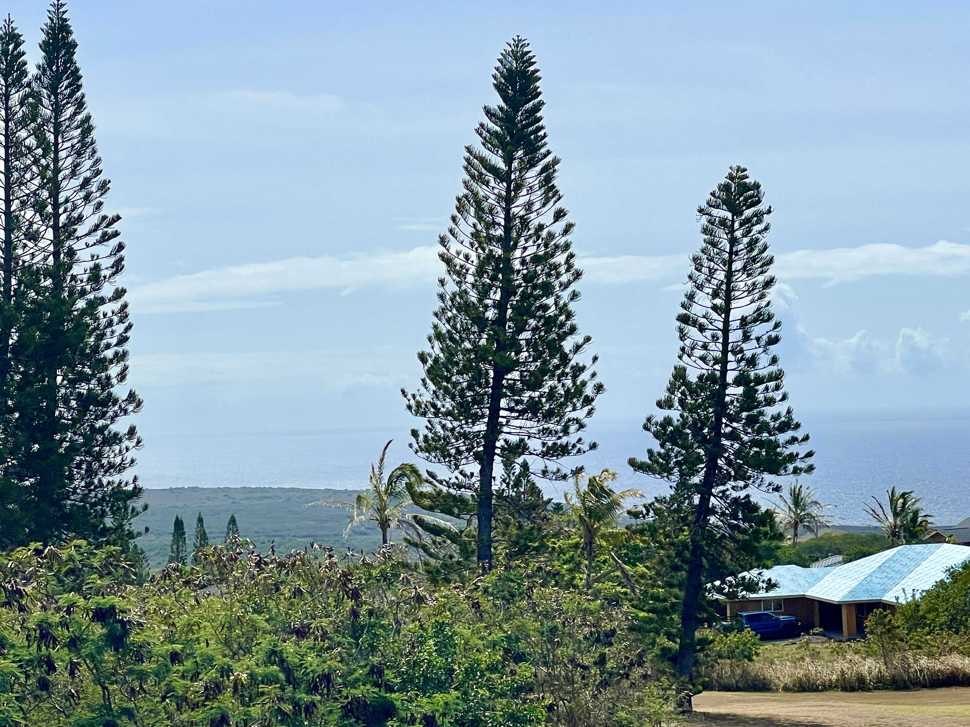 Naalehu, HI 96772,HEKAU ST