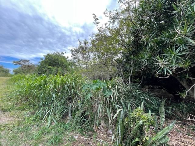 Naalehu, HI 96772,PUKA ST