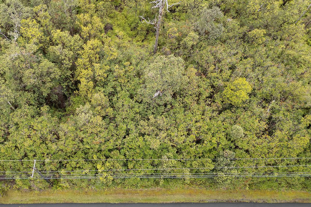 Mountain View, HI 96771,HIBISCUS ST