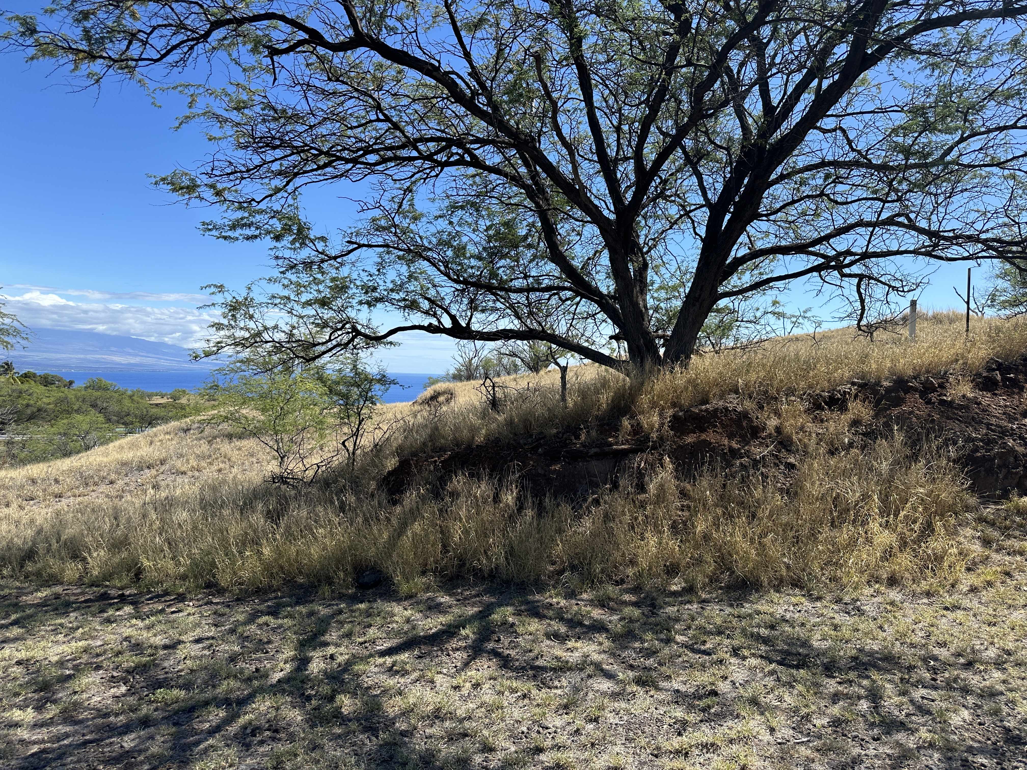 Kamuela, HI 96743,59-106 OLOMANA RD