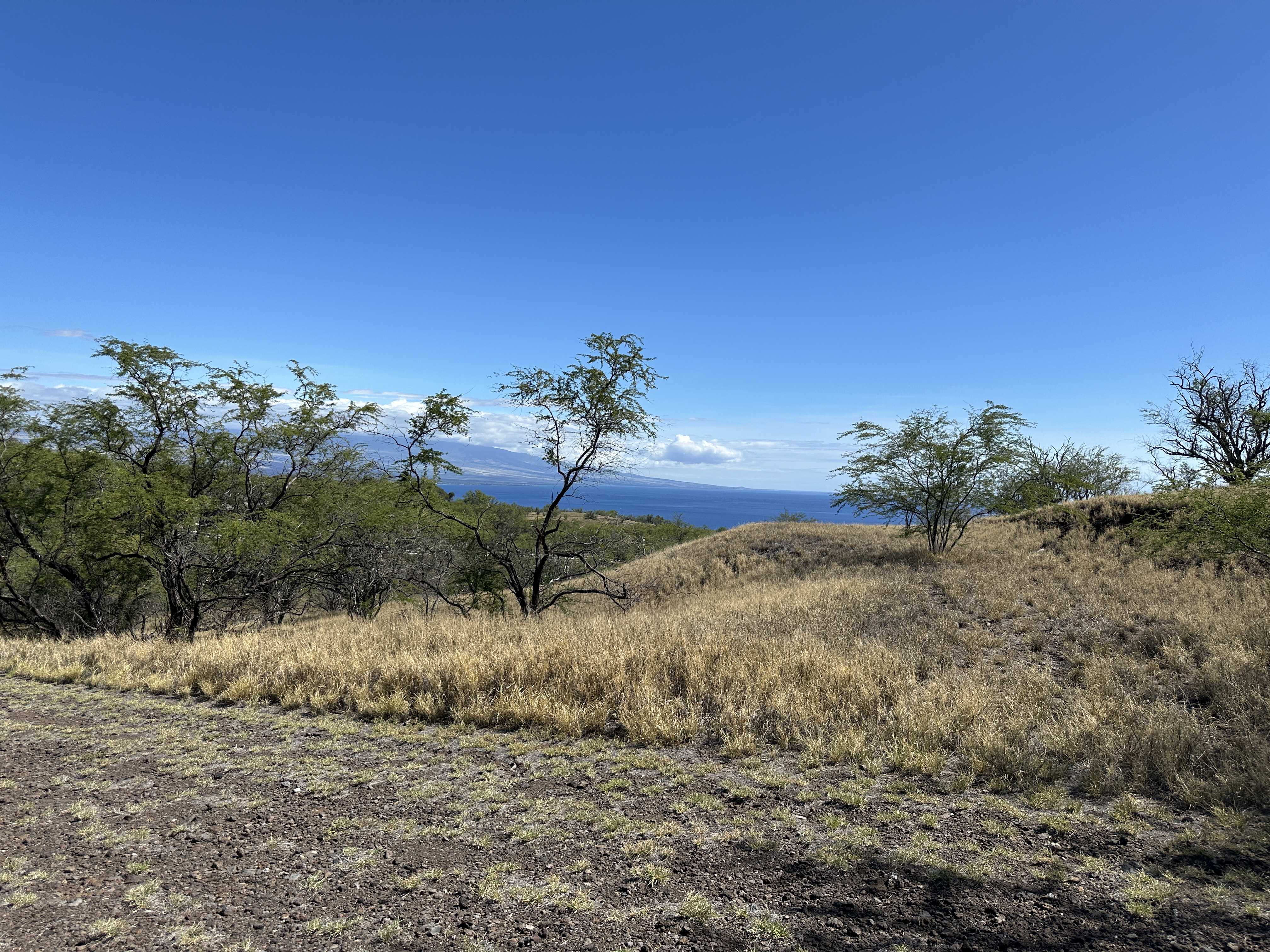 Kamuela, HI 96743,59-106 OLOMANA RD