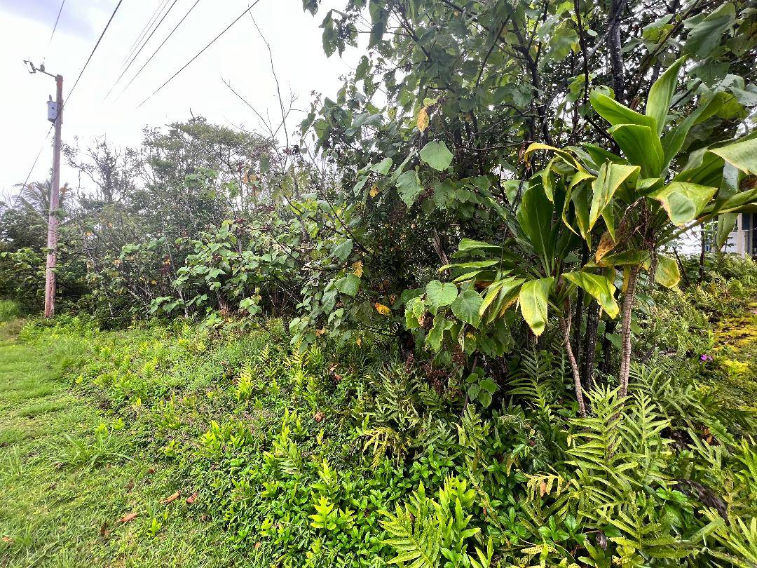 Pahoa, HI 96778,POHAKUPELE LP