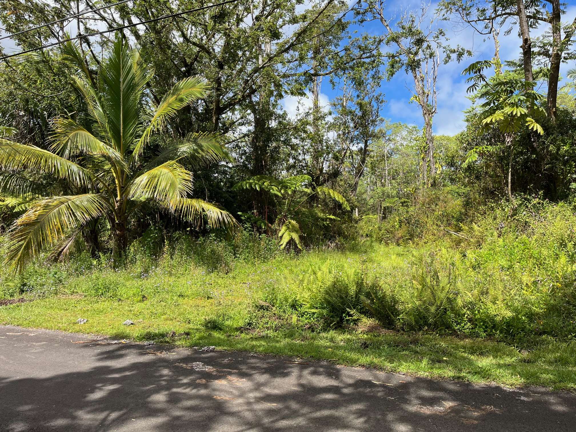 Pahoa, HI 96778,KUMAKAHI ST