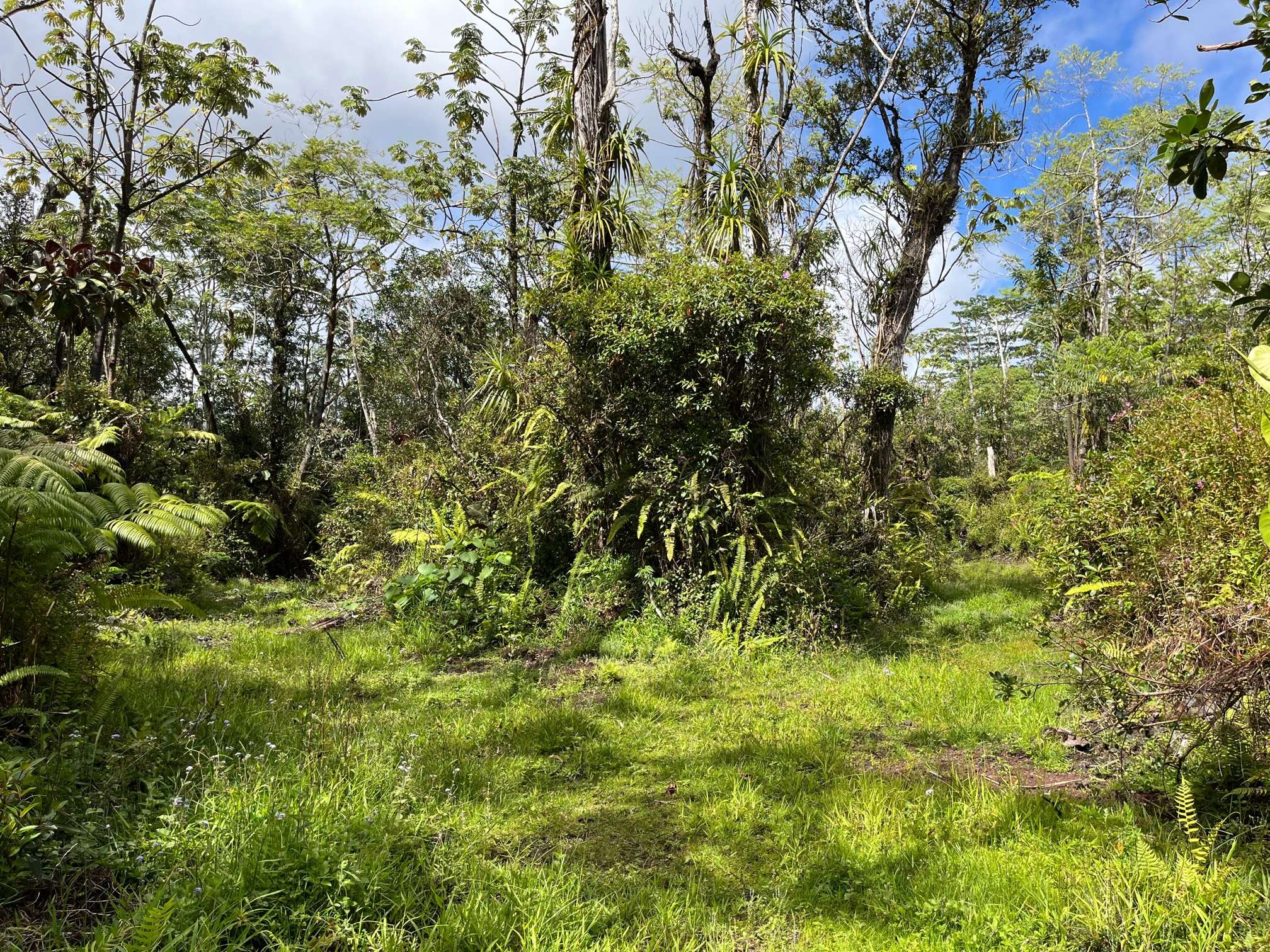 Pahoa, HI 96778,KUMAKAHI ST