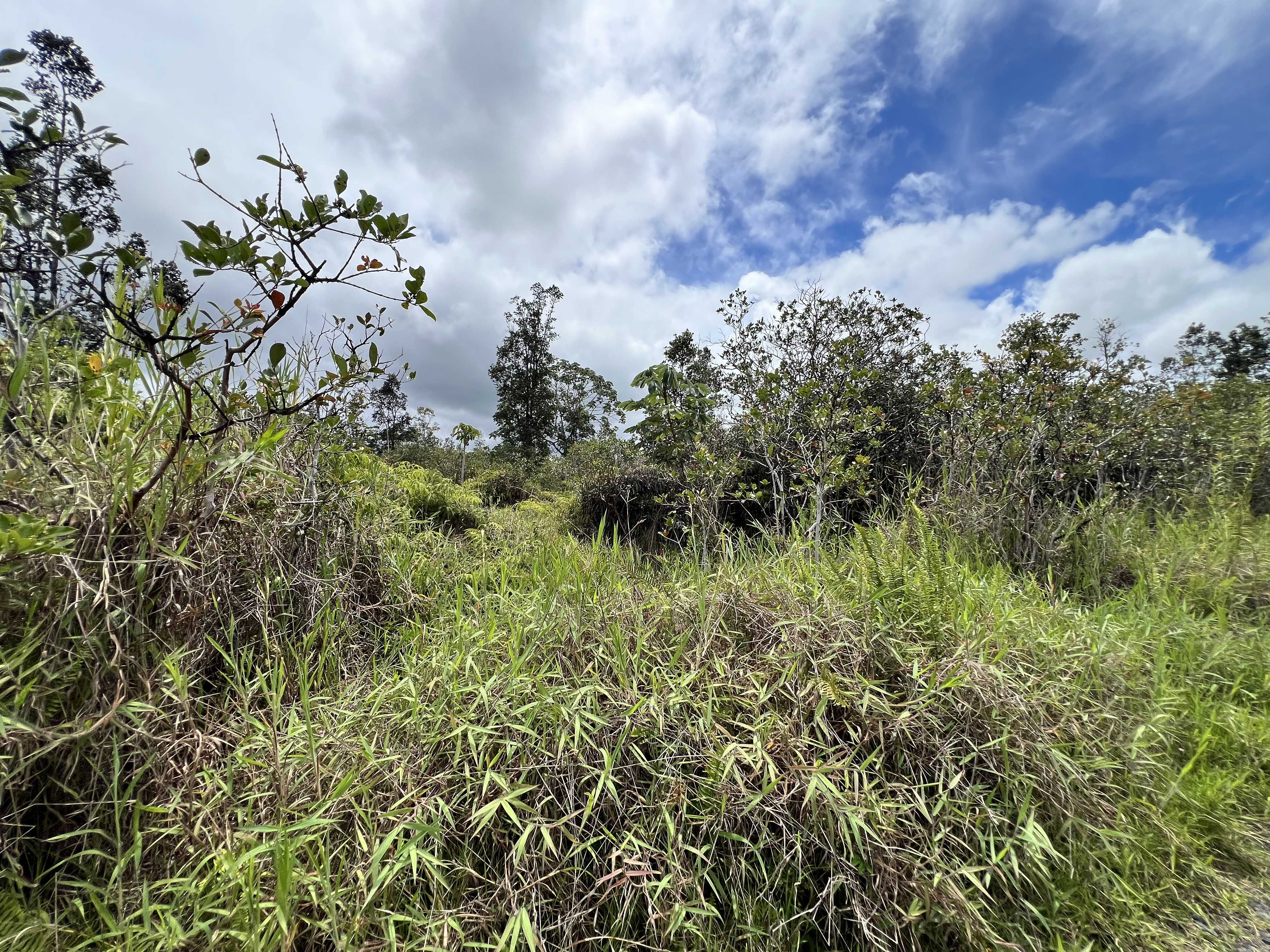Kurtistown, HI 96760,ROAD 9 (KOLOA MAOLI)