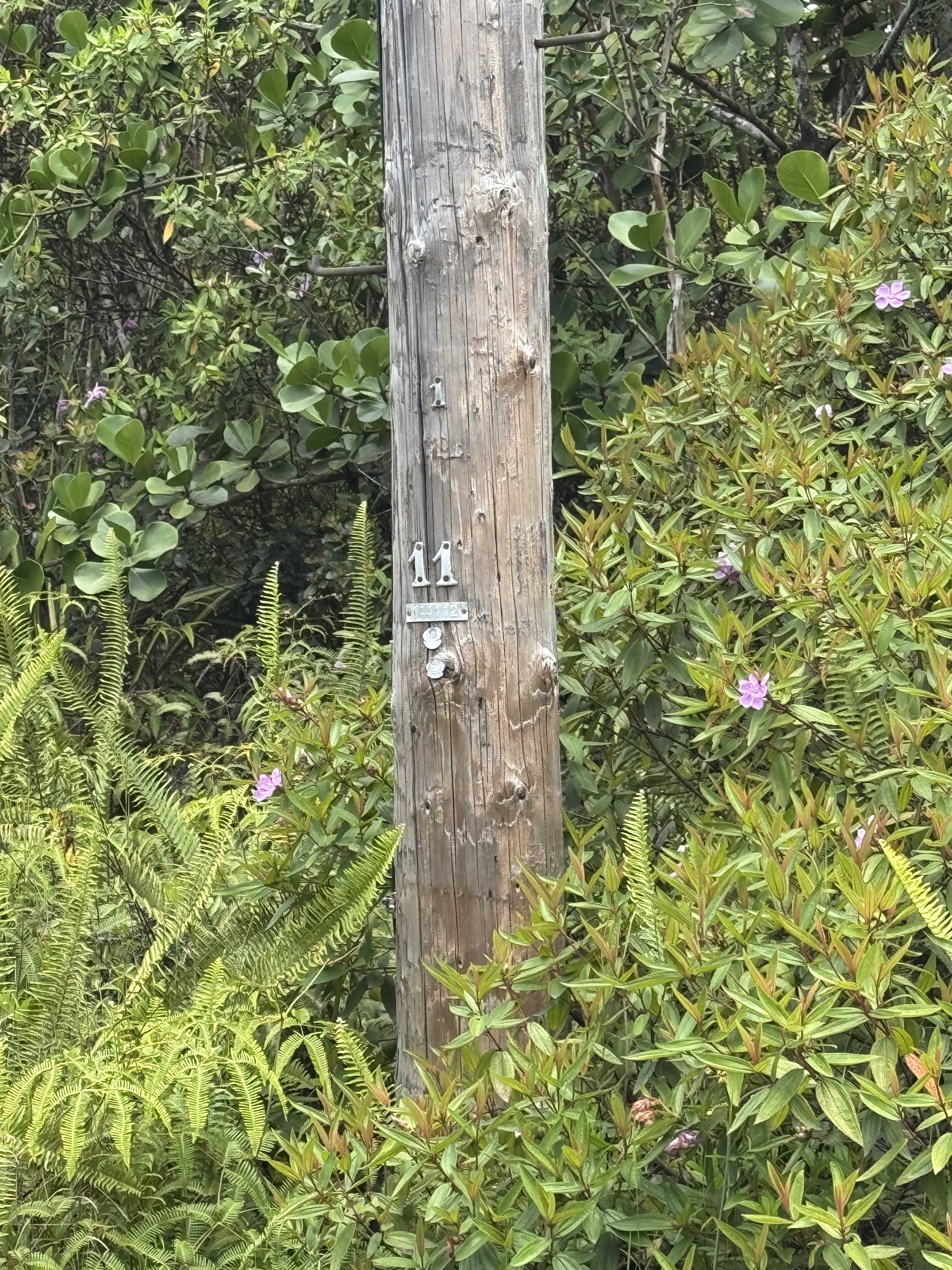 Kurtistown, HI 96760,34TH AVE