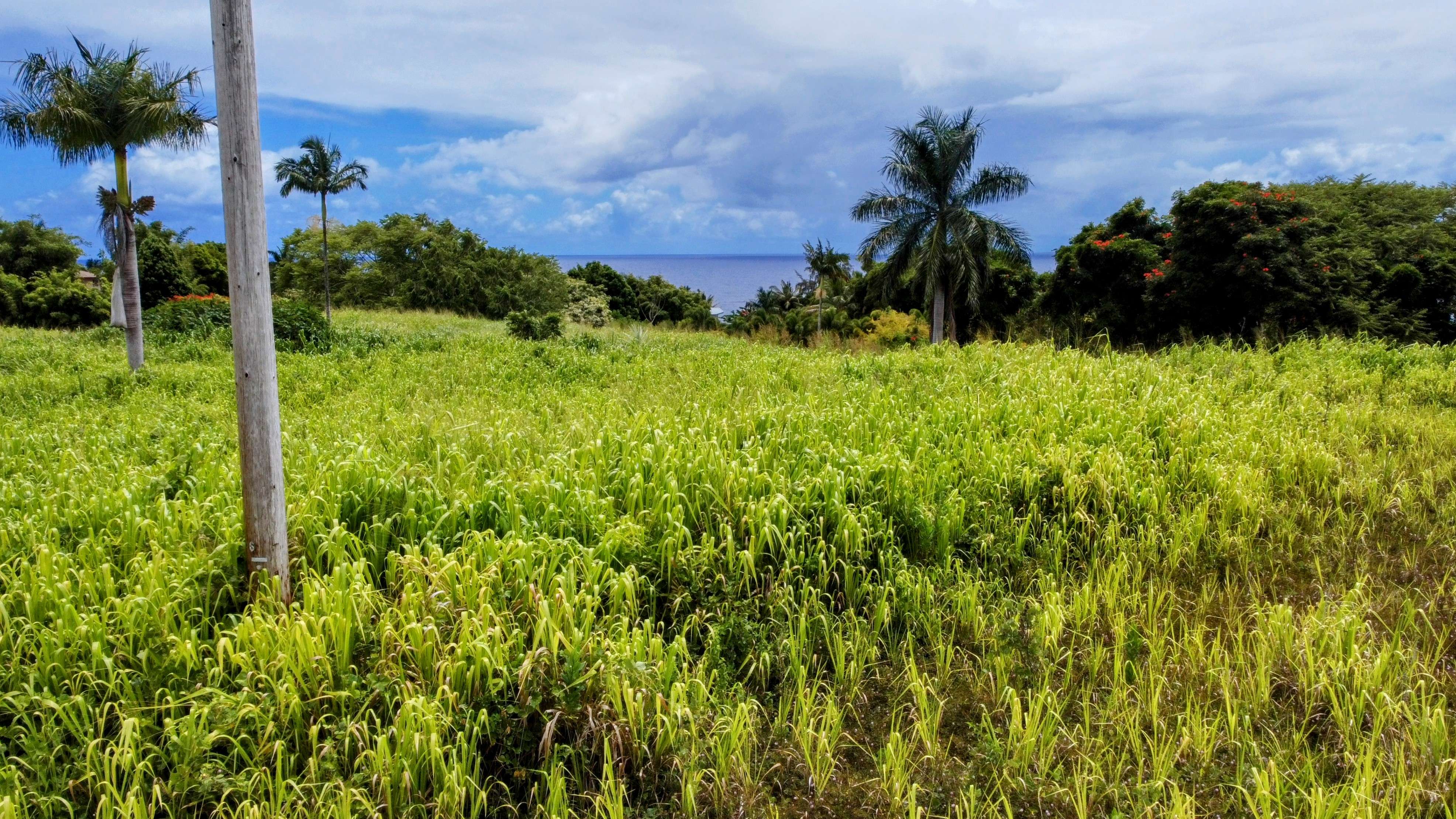 31-154 HAWAII BELT RD, Ninole, HI 96773