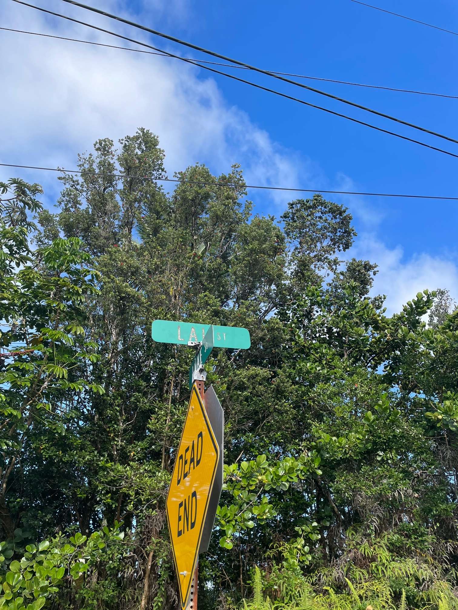 Pahoa, HI 96778,15-2811 LAI ST