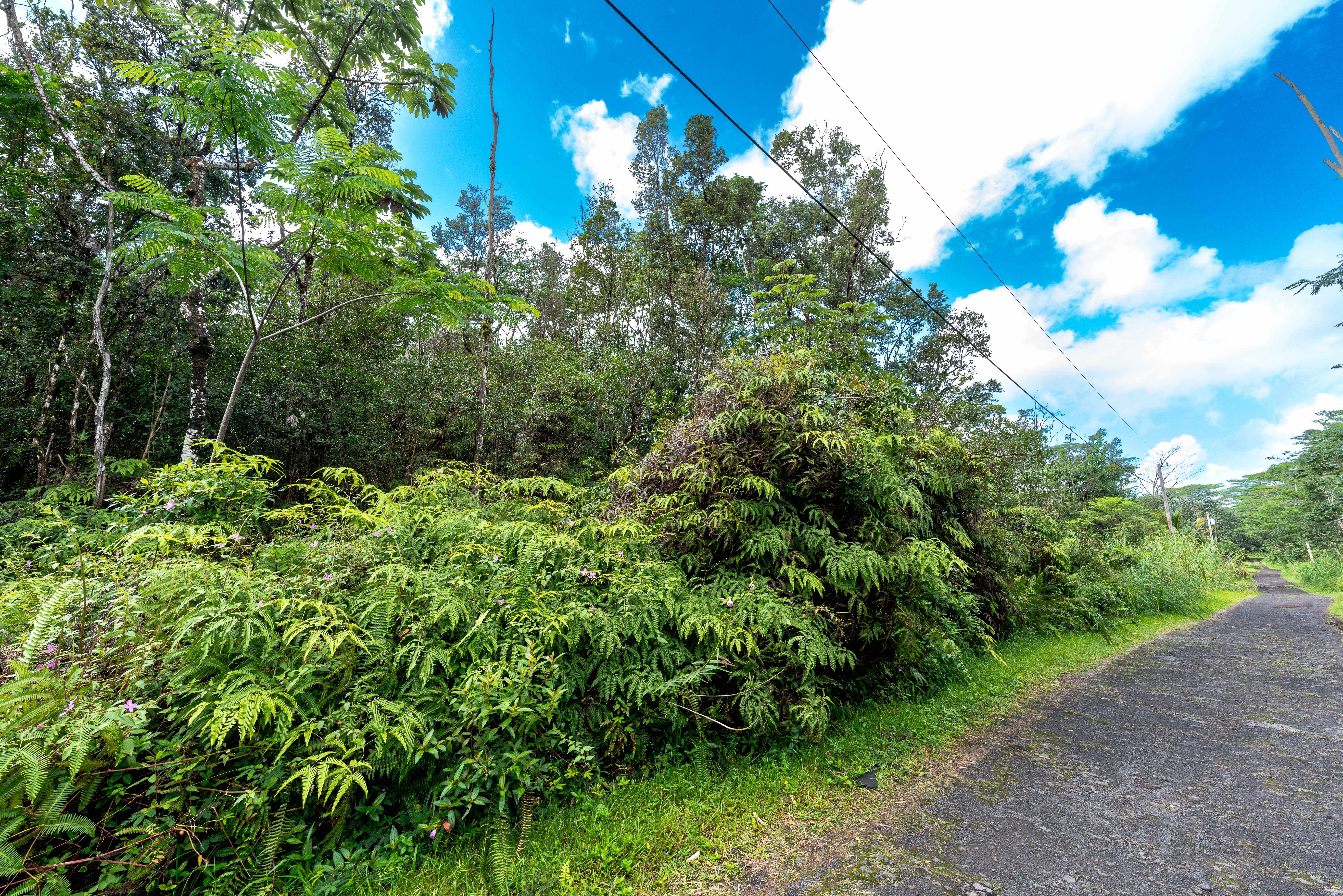 Pahoa, HI 96778,LEHUA RD