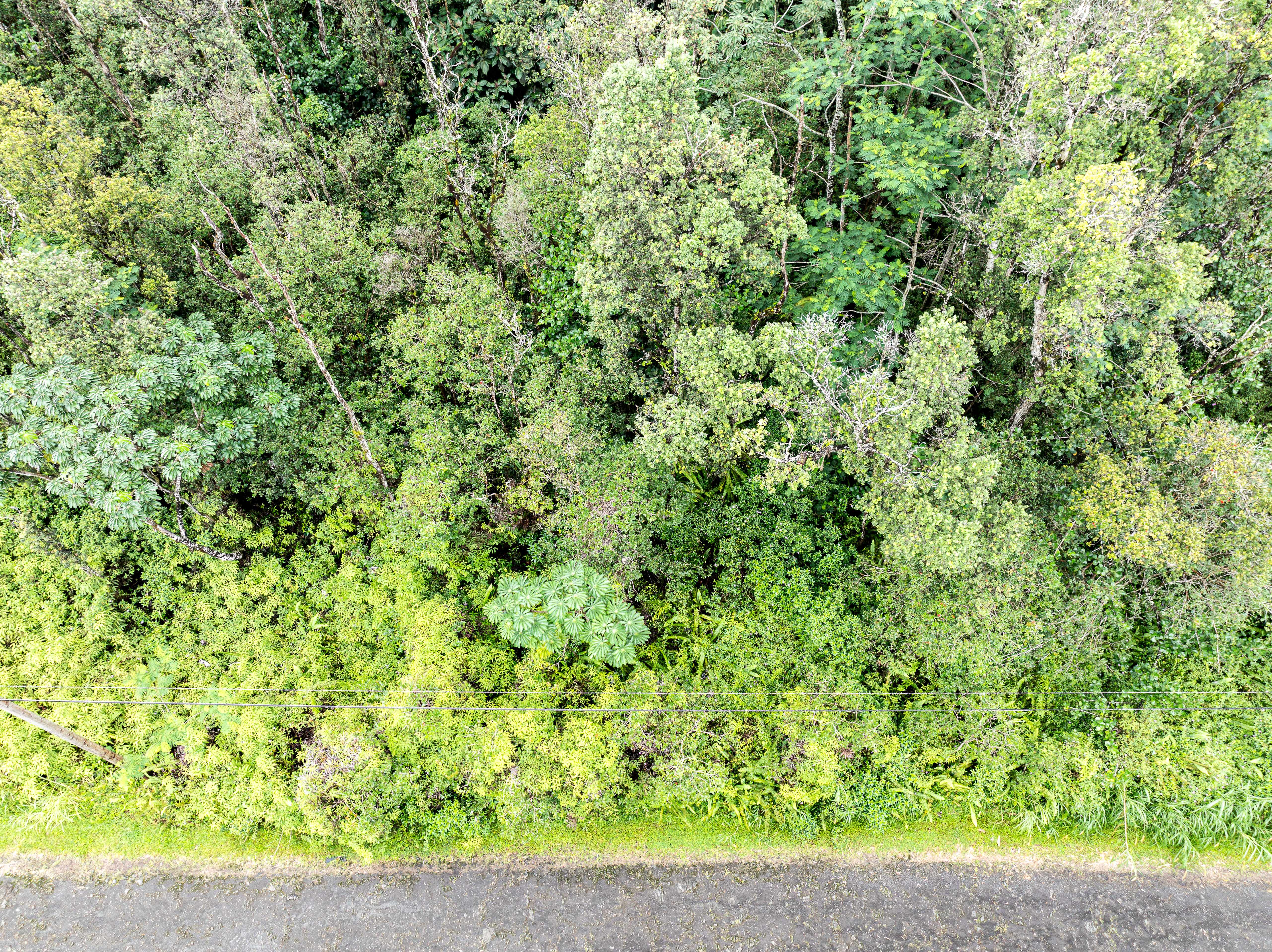 Pahoa, HI 96778,LEHUA RD