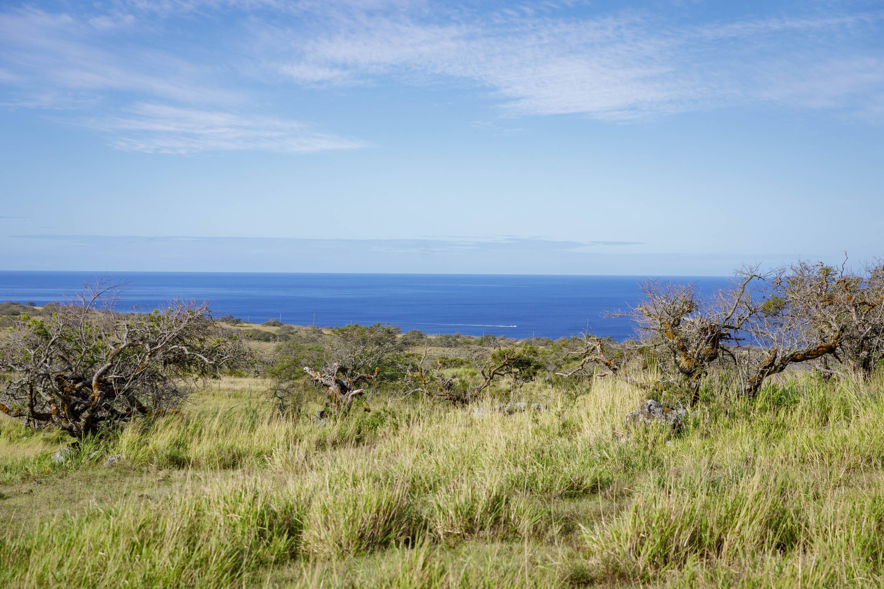 LAHUIKI PL #lot 9, Hawi, HI 96719
