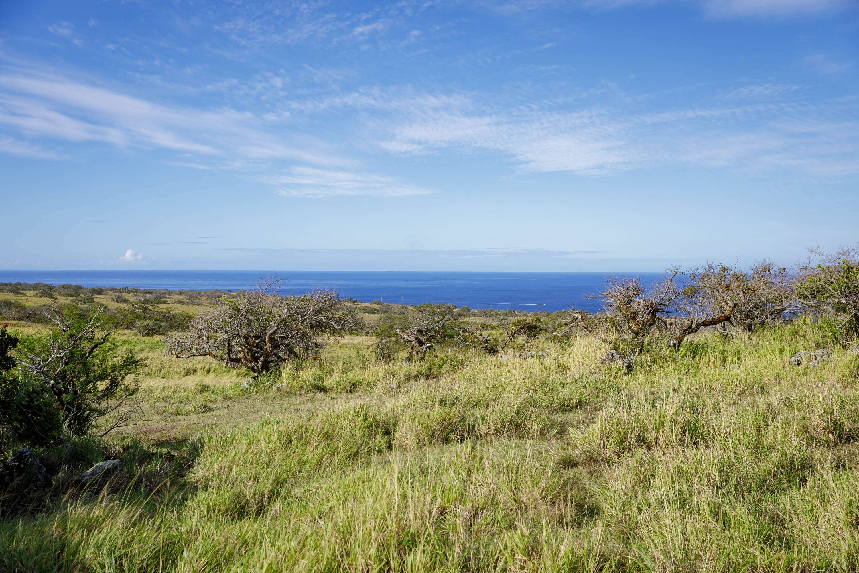LAHUIKI PL #lot 9, Hawi, HI 96719