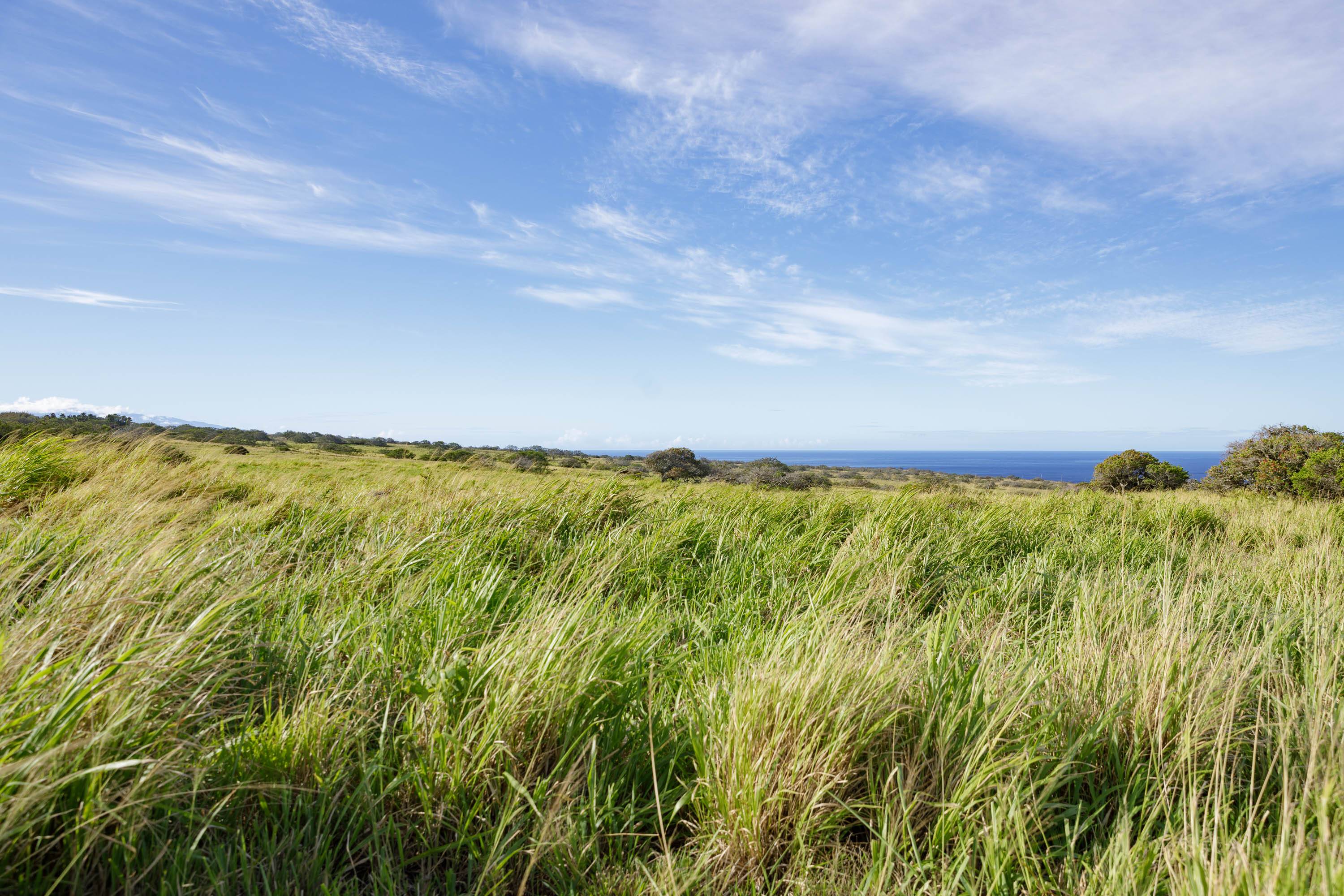LAHUIKI PL #lot 9, Hawi, HI 96719