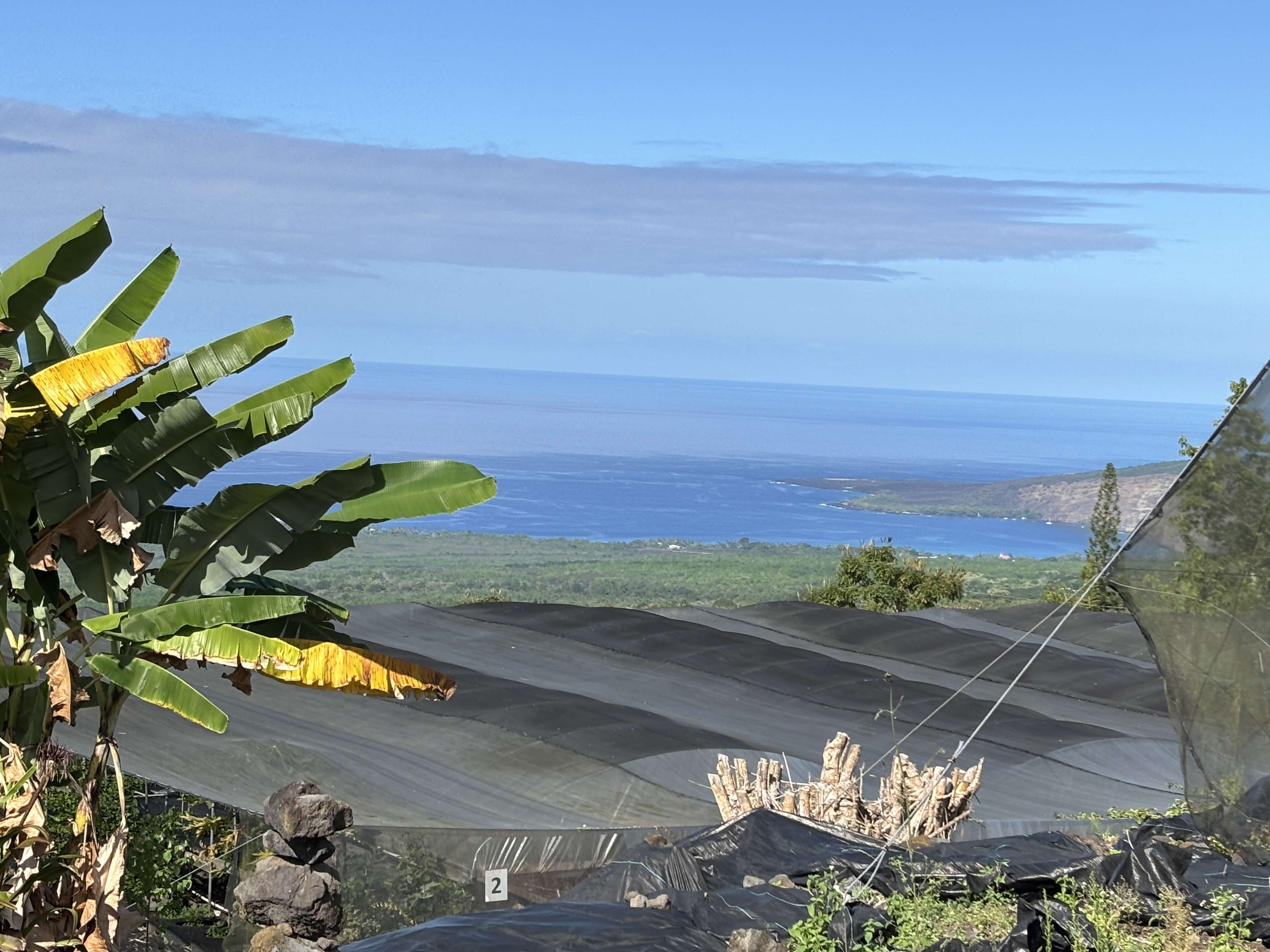 BRUNER RD, Captain Cook, HI 96726