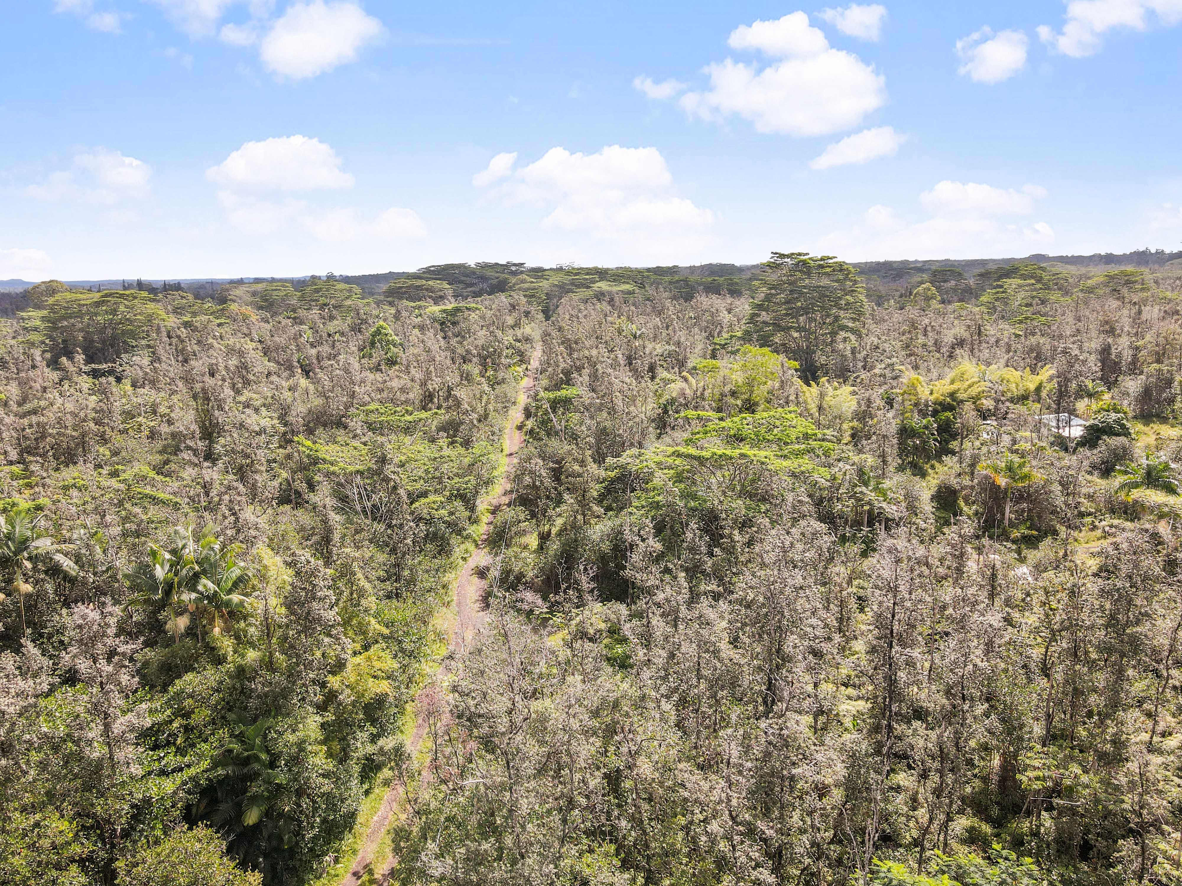 16-1460 PULELEHUA RD, Keaau, HI 96749